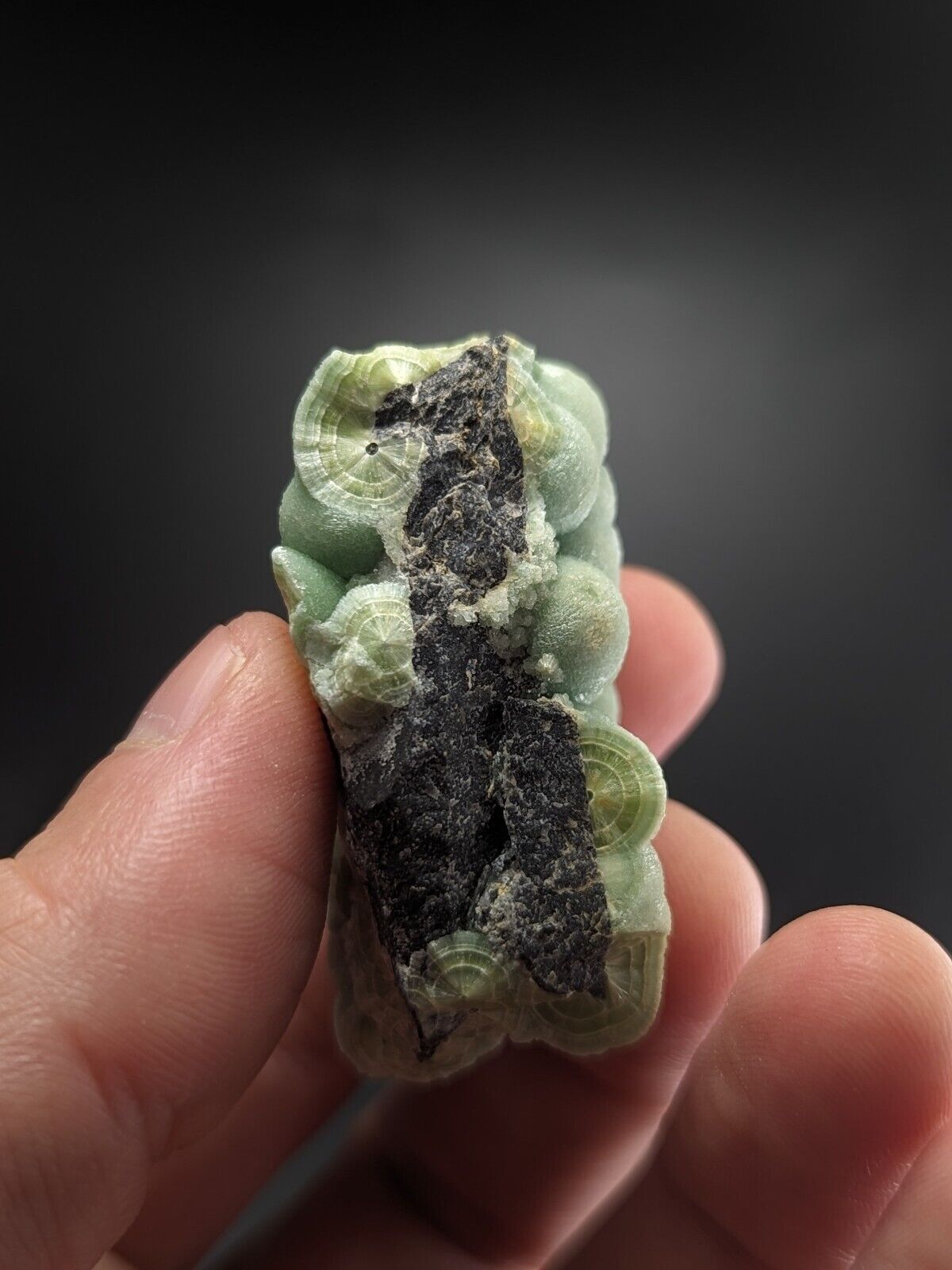 A + + + Wavellite - Fantastic Old Stock - Mauldin Mountain Arkansas ooak - Collectibles:Rocks Fossils &