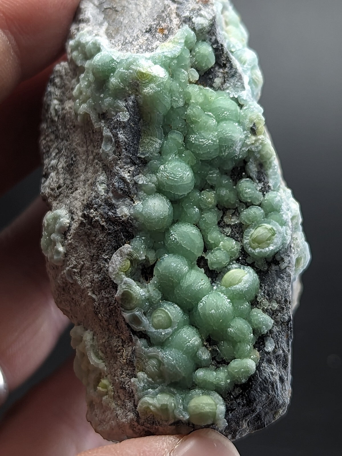 A hand holds a rough, dark gray rock specimen featuring clusters of translucent green spherical crystals.