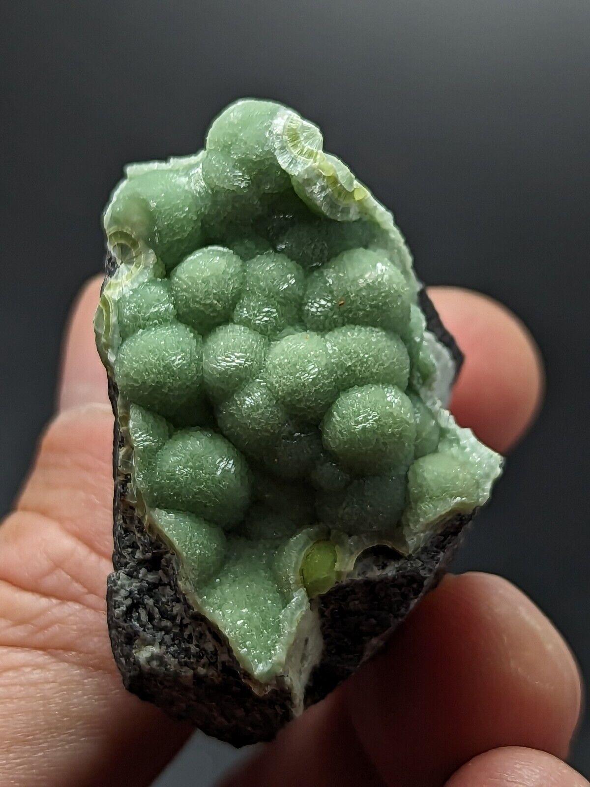 A + Wavellite - Fantastic Old Stock - Mauldin Mountain Arkansas ooak - Collectibles:Rocks Fossils & Minerals:Crystals