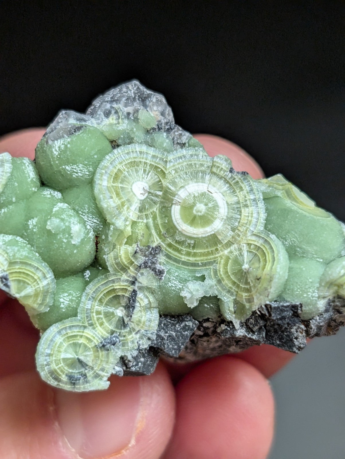A + Wavellite Mauldin Mountain Montgomery Co. Arkansas USA (Top Aesthetics) - Collectibles:Rocks Fossils &