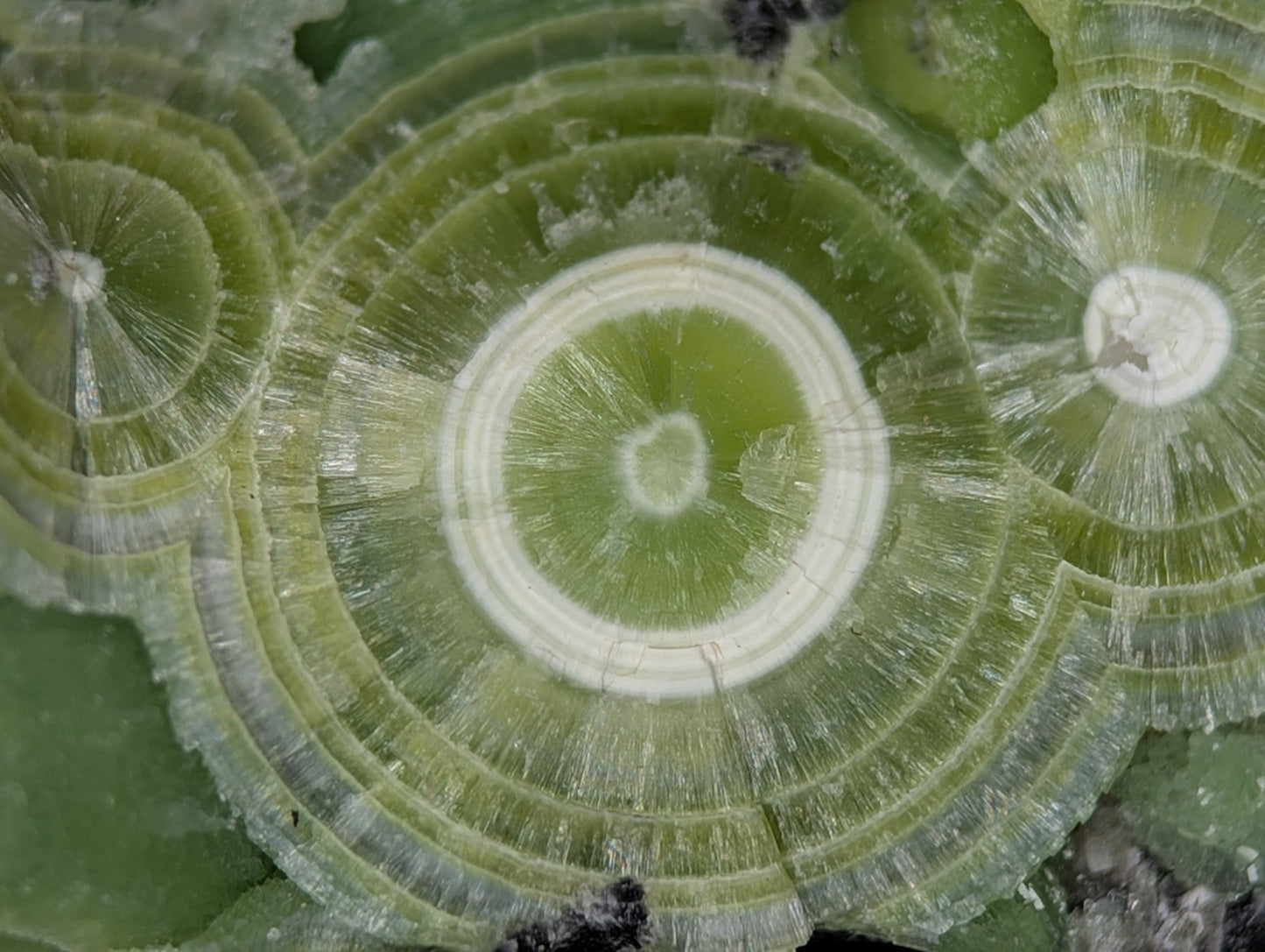 A + Wavellite Mauldin Mountain Montgomery Co. Arkansas USA (Top Aesthetics) - Collectibles:Rocks Fossils &