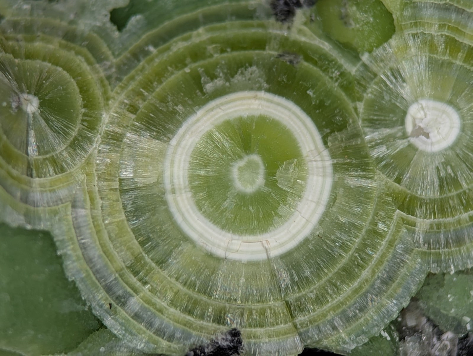 A + Wavellite Mauldin Mountain Montgomery Co. Arkansas USA (Top Aesthetics) - Collectibles:Rocks Fossils &