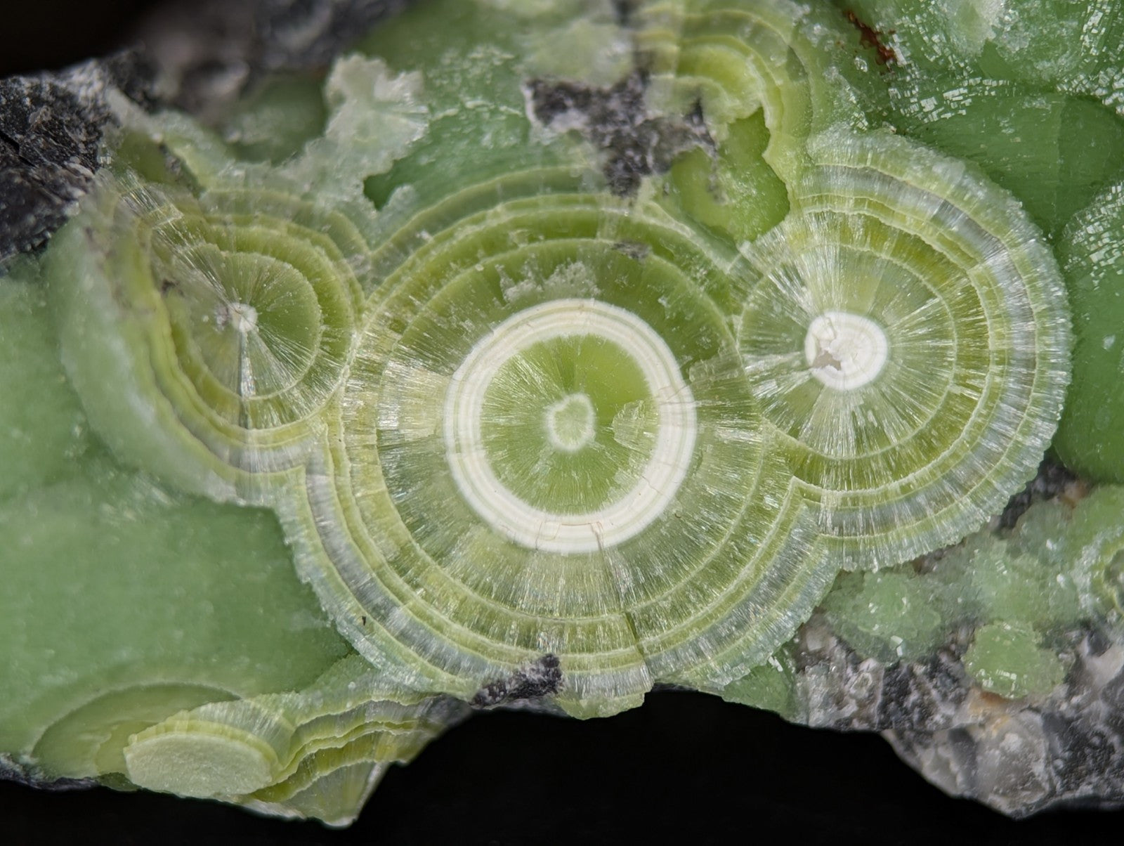 A + Wavellite Mauldin Mountain Montgomery Co. Arkansas USA (Top Aesthetics) - Collectibles:Rocks Fossils &