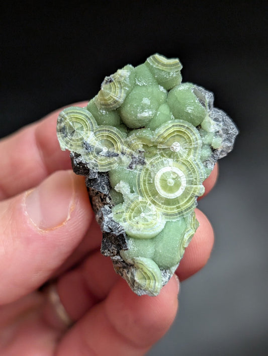 A + Wavellite Mauldin Mountain Montgomery Co. Arkansas USA (Top Aesthetics) - Collectibles:Rocks Fossils &