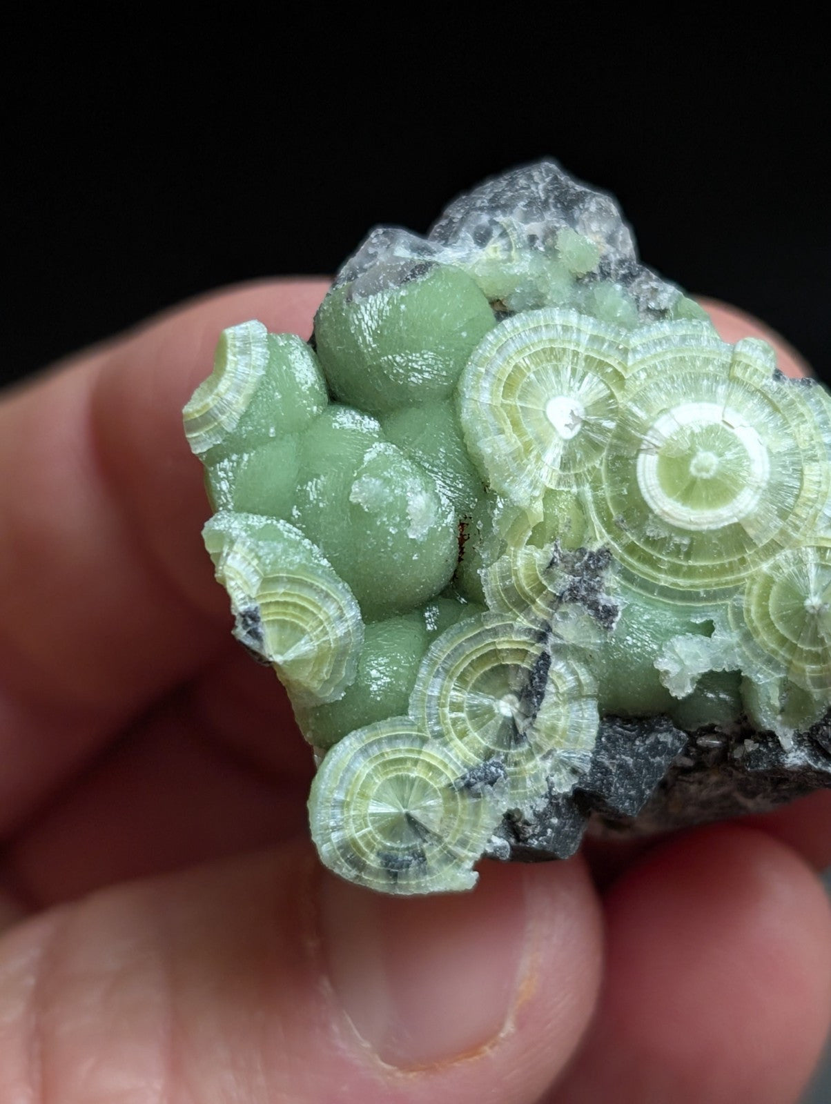 A + Wavellite Mauldin Mountain Montgomery Co. Arkansas USA (Top Aesthetics) - Collectibles:Rocks Fossils &
