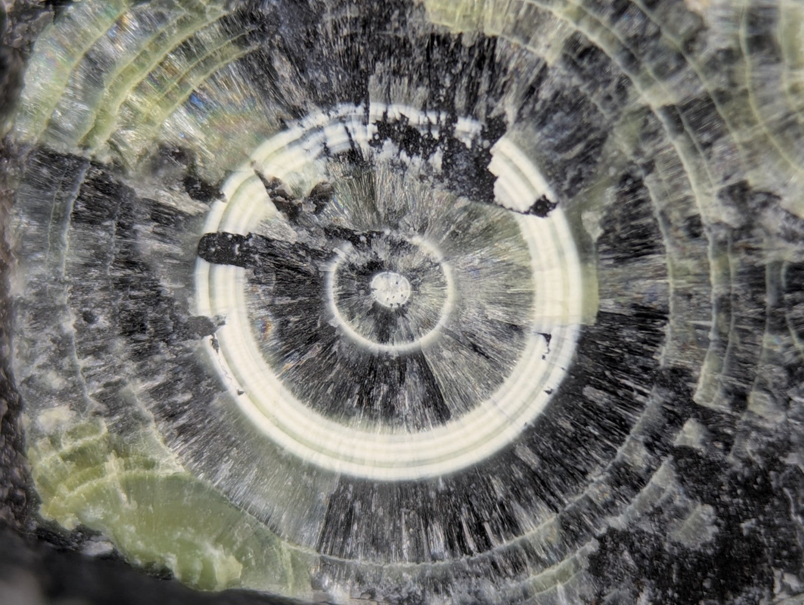 A + Wavellite Mauldin Mountain Montgomery Co. Arkansas USA (Top Aesthetics) - Collectibles:Rocks Fossils &