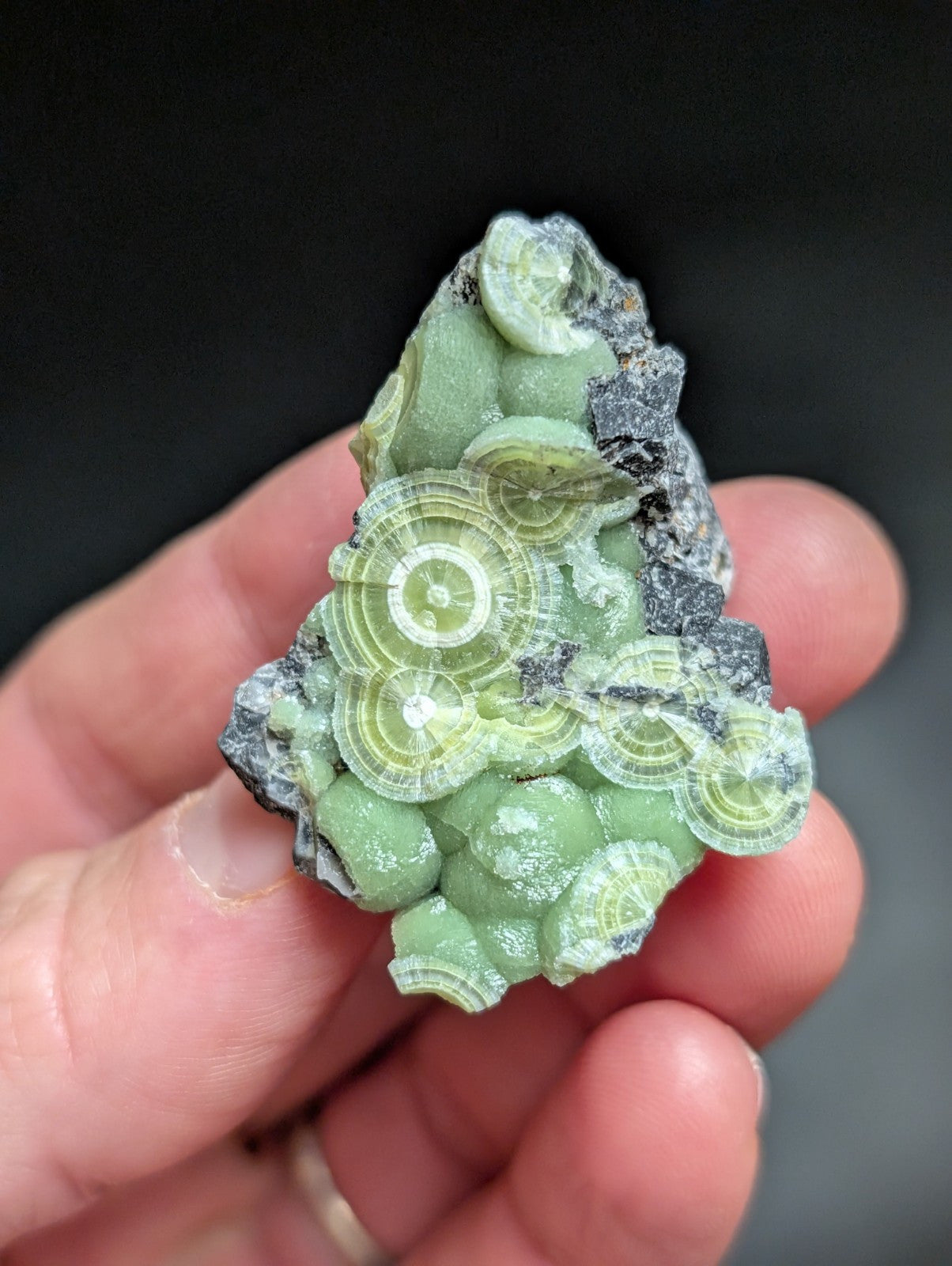 A + Wavellite Mauldin Mountain Montgomery Co. Arkansas USA (Top Aesthetics) - Collectibles:Rocks Fossils &