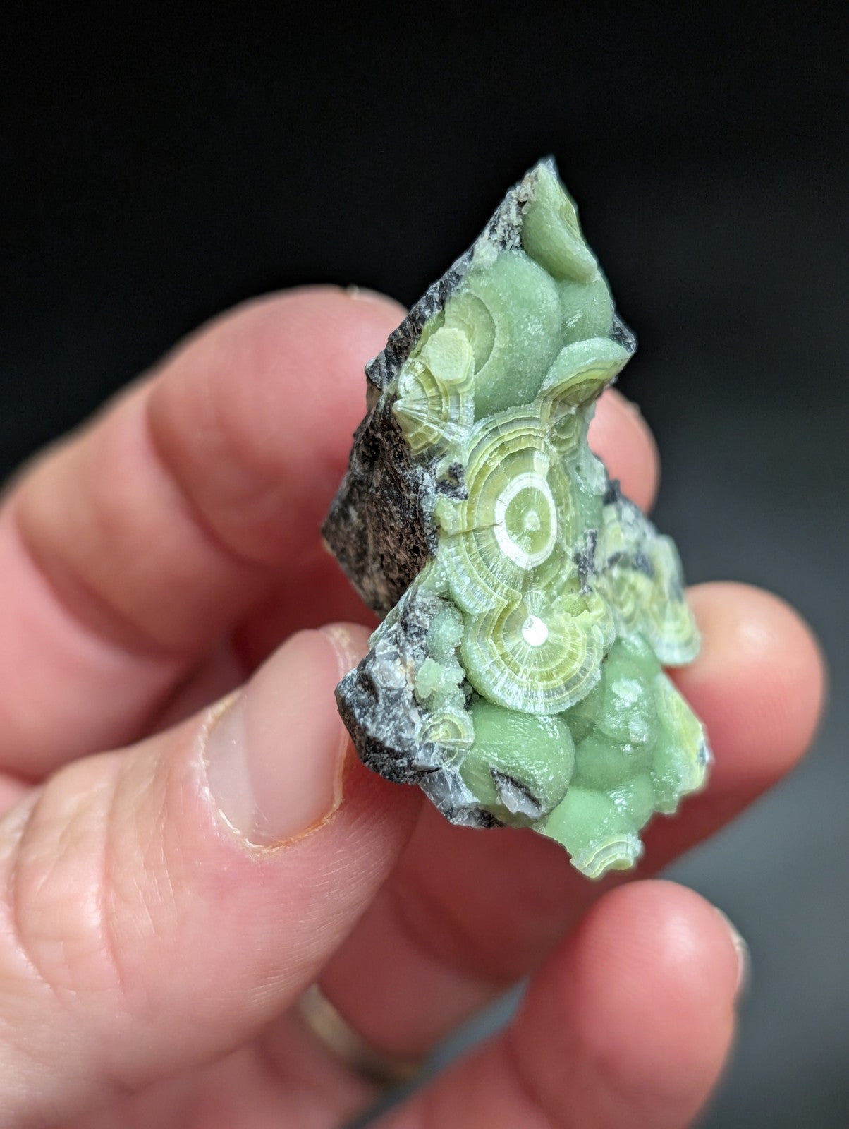 A + Wavellite Mauldin Mountain Montgomery Co. Arkansas USA (Top Aesthetics) - Collectibles:Rocks Fossils &