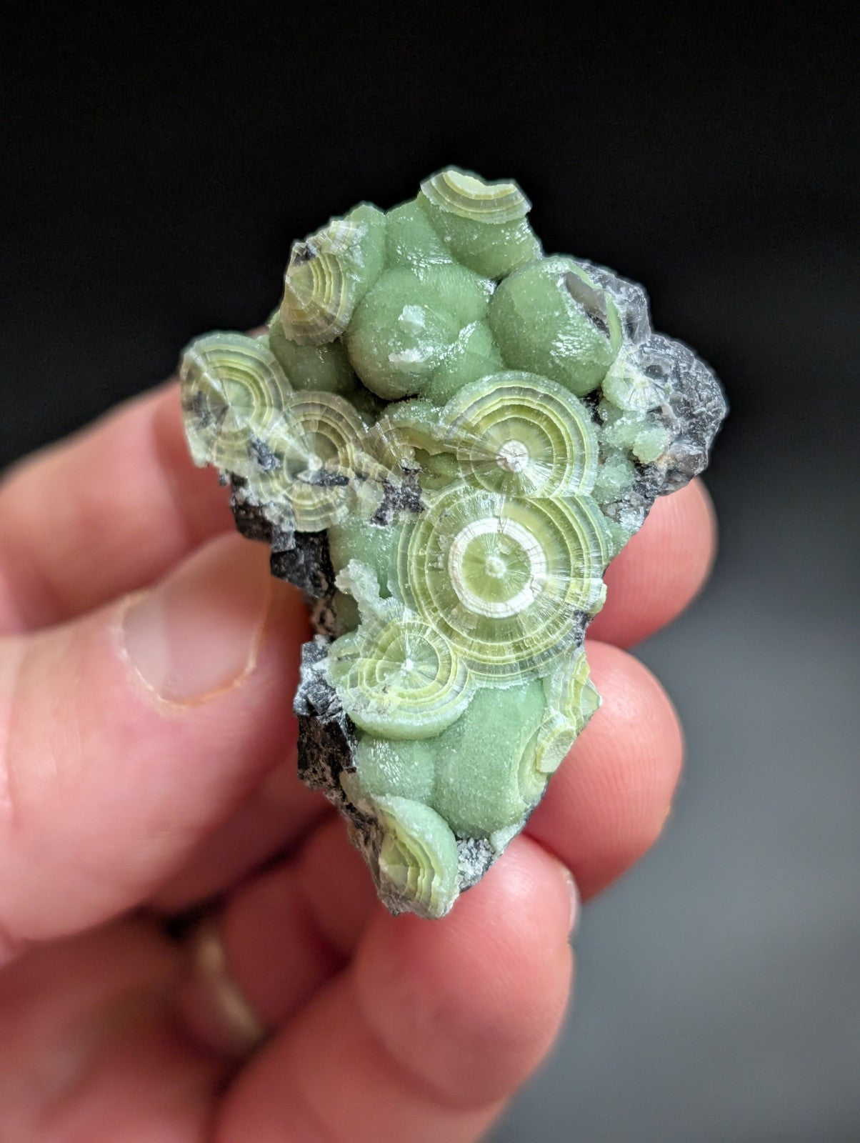 A + Wavellite Mauldin Mountain Montgomery Co. Arkansas USA (Top Aesthetics) - Collectibles:Rocks Fossils &