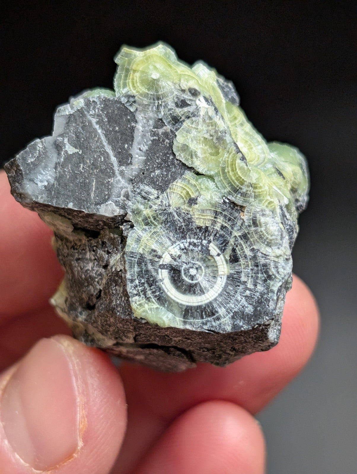 A + Wavellite Mauldin Mountain Montgomery Co. Arkansas USA (Top Aesthetics) - Collectibles:Rocks Fossils &