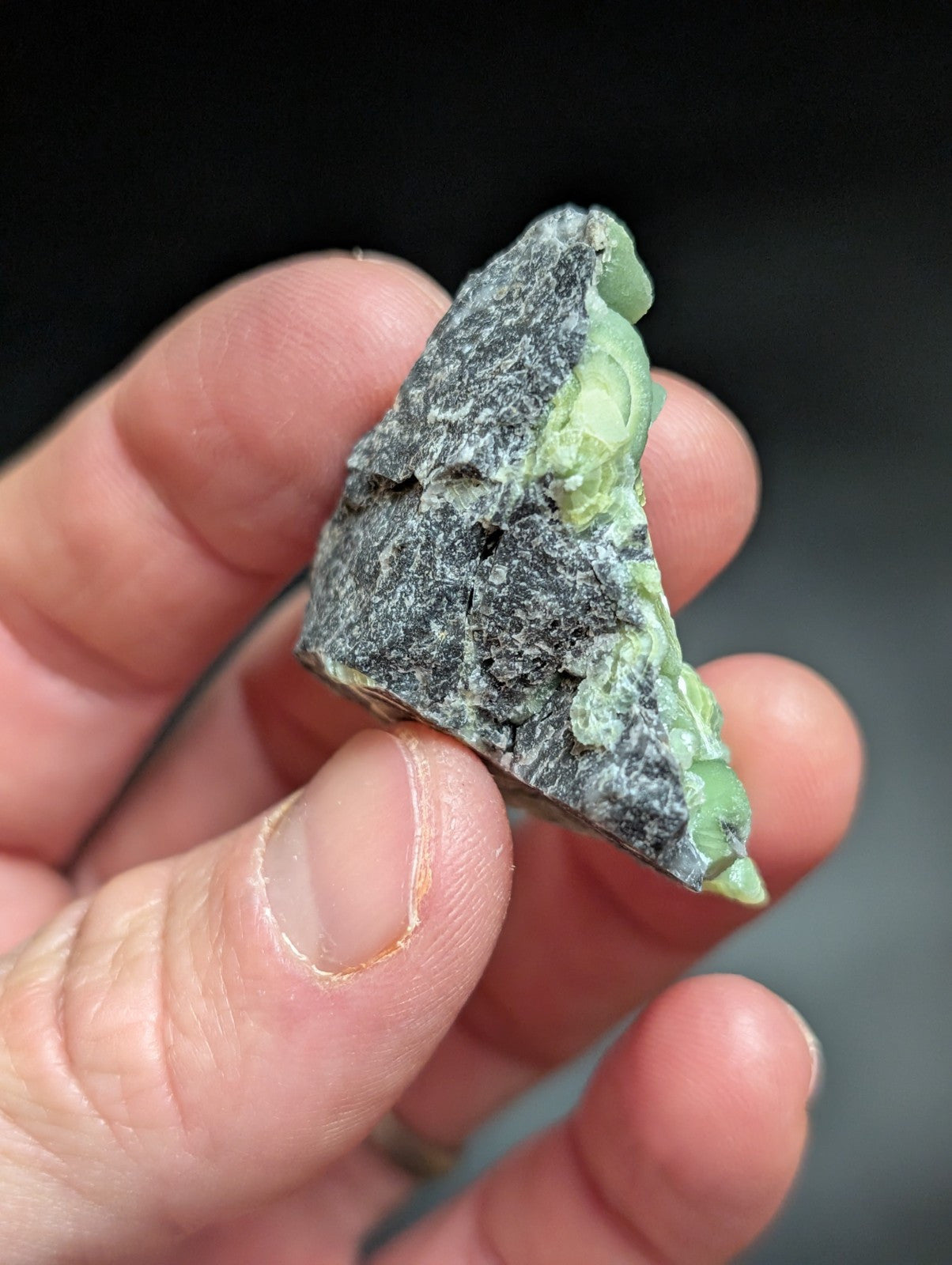 A + Wavellite Mauldin Mountain Montgomery Co. Arkansas USA (Top Aesthetics) - Collectibles:Rocks Fossils &