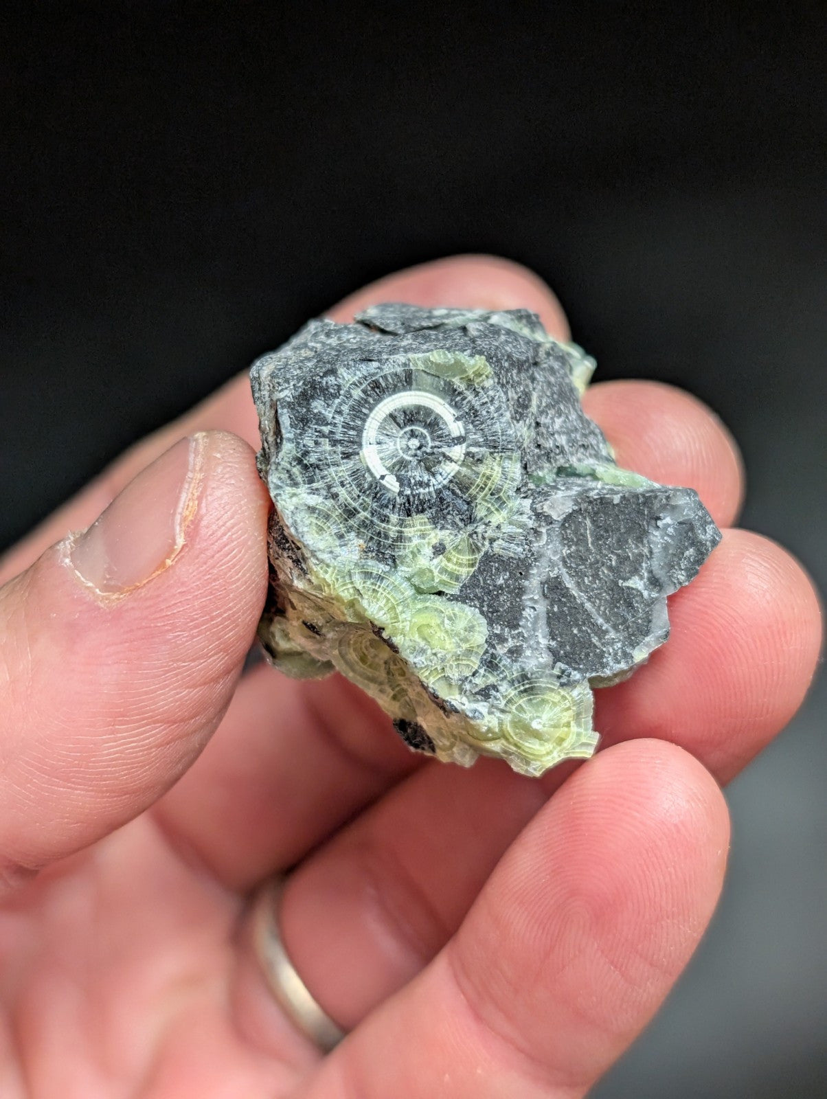 A + Wavellite Mauldin Mountain Montgomery Co. Arkansas USA (Top Aesthetics) - Collectibles:Rocks Fossils &