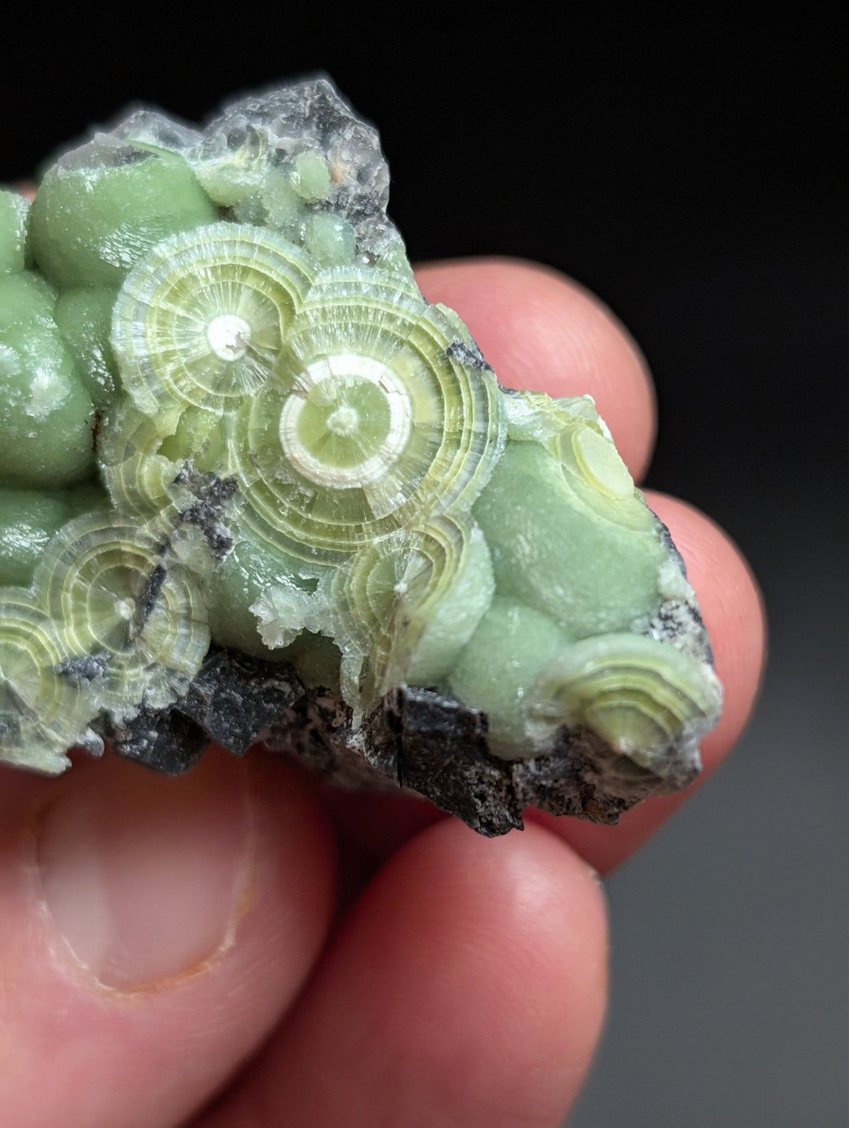 A + Wavellite Mauldin Mountain Montgomery Co. Arkansas USA (Top Aesthetics) - Collectibles:Rocks Fossils &