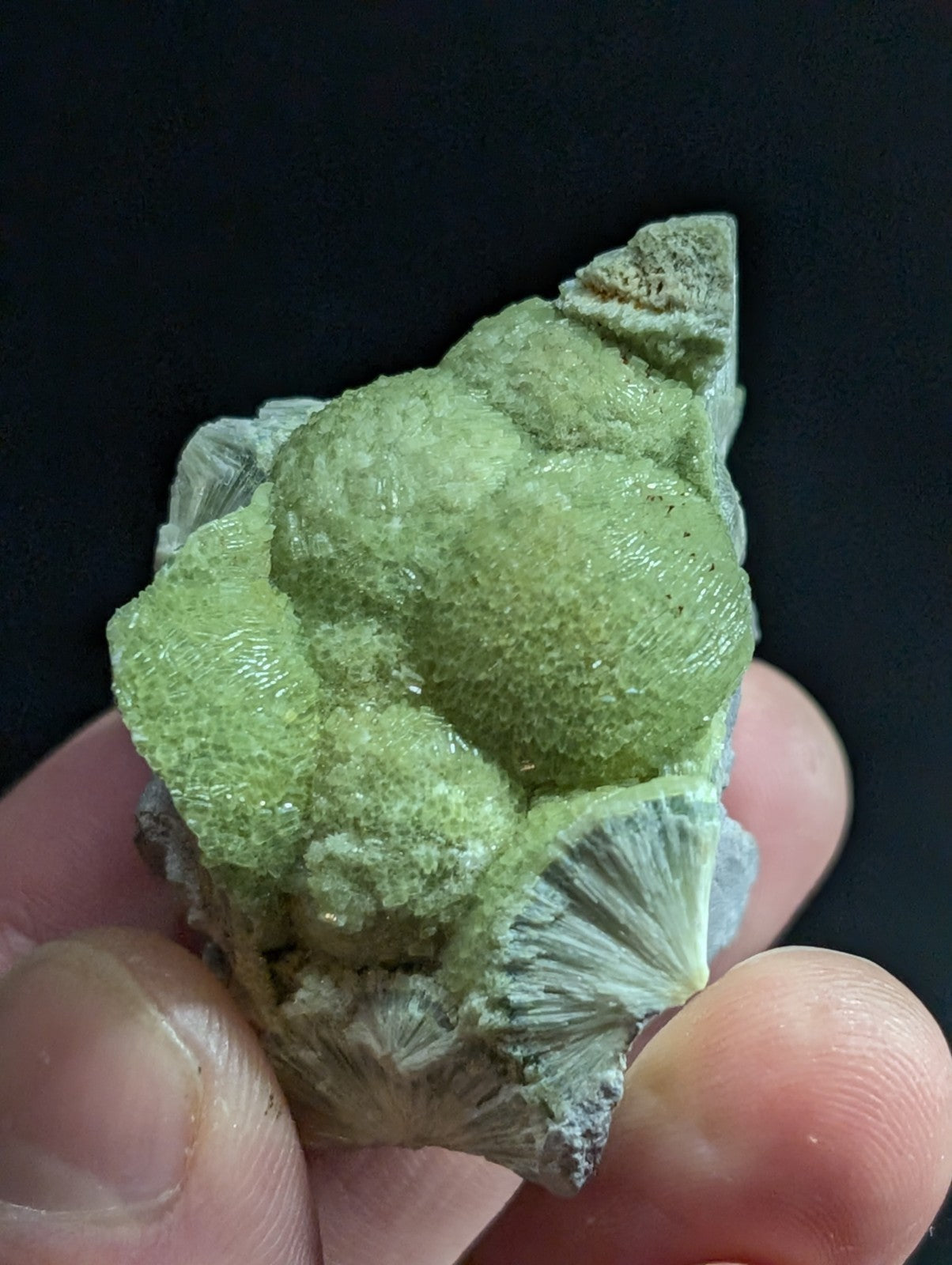 A vibrant green, textured mineral specimen with a bumpy surface and delicate fan-like crystalline formations.