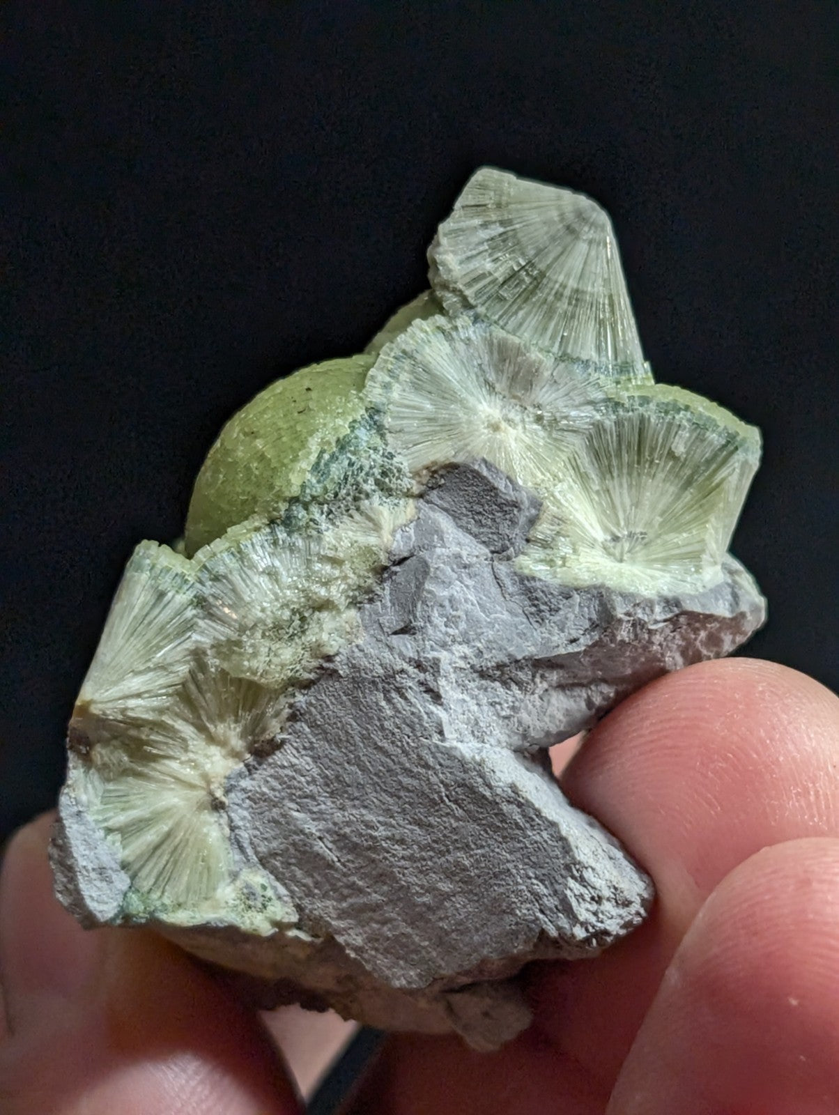 A hand holds a mineral specimen featuring translucent, pale green radiating crystals growing from a rough gray rock matrix.
