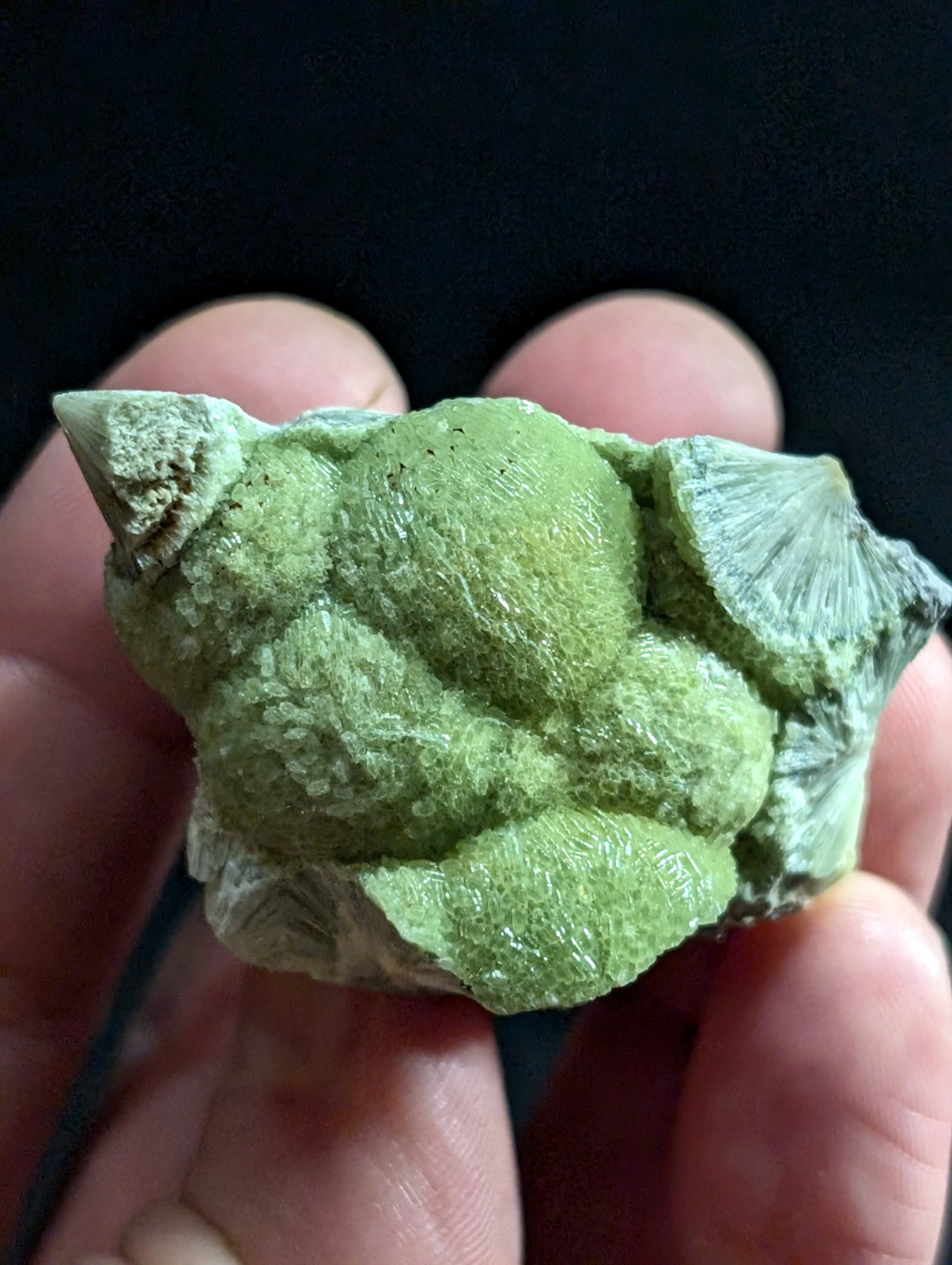 A green, textured mineral specimen with rounded, bulbous formations and a crystalline surface.