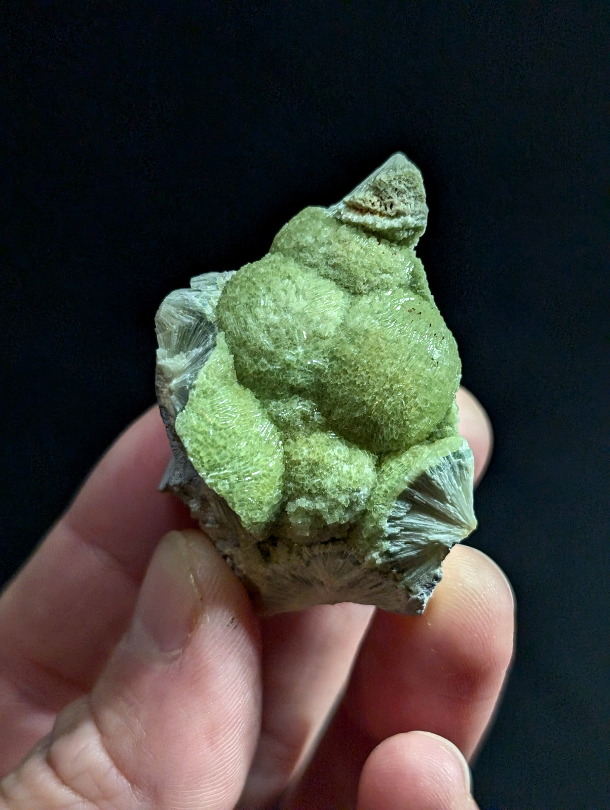 A hand holds a green, textured mineral specimen with rounded, bulbous formations set against a dark background.