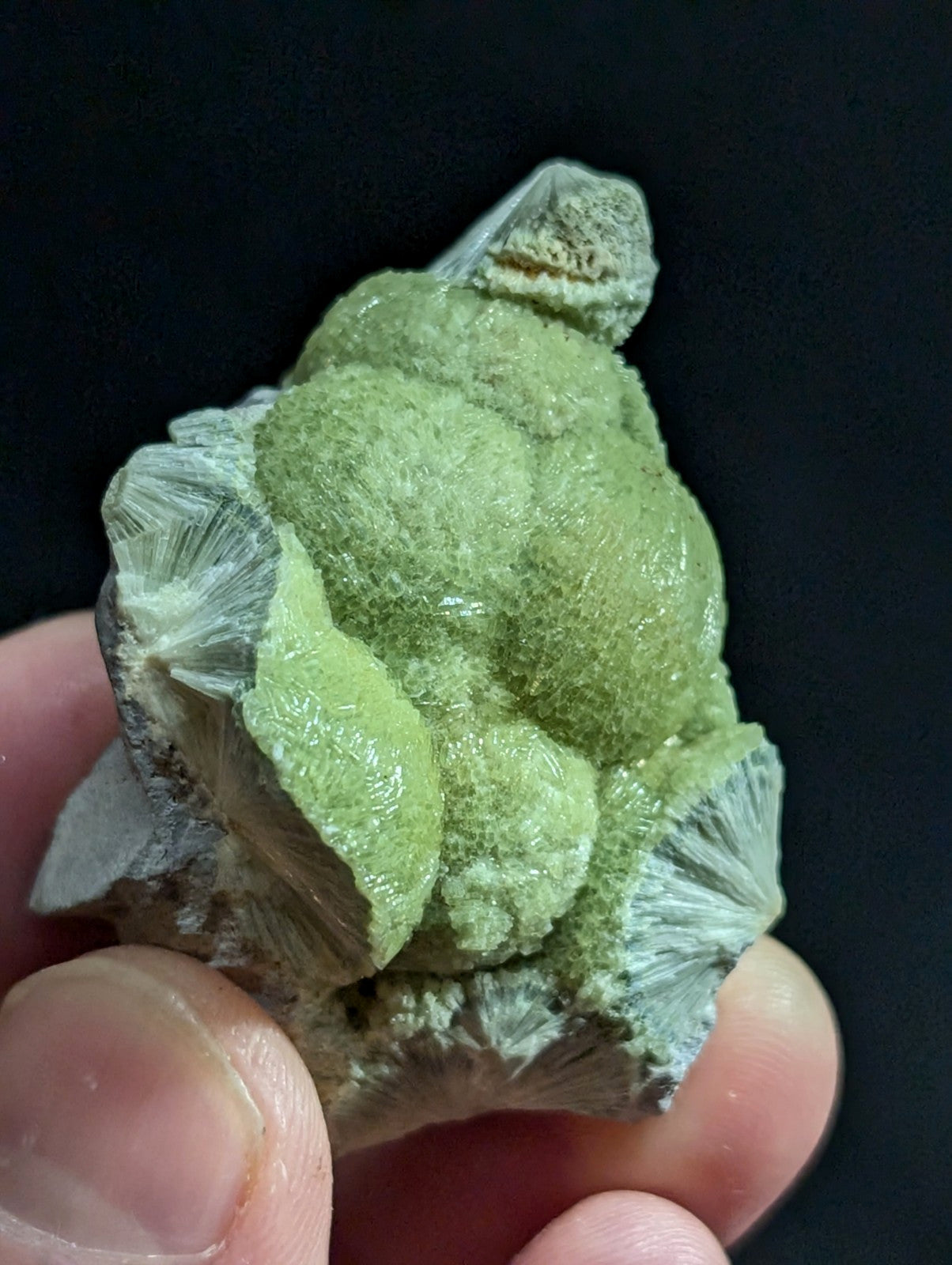A textured, light green mineral specimen with a rough, bumpy surface and translucent crystalline formations.