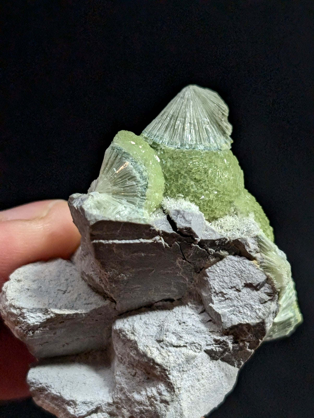 A striking green mineral specimen with translucent, fan-shaped crystals emerging from a rough gray rock matrix.