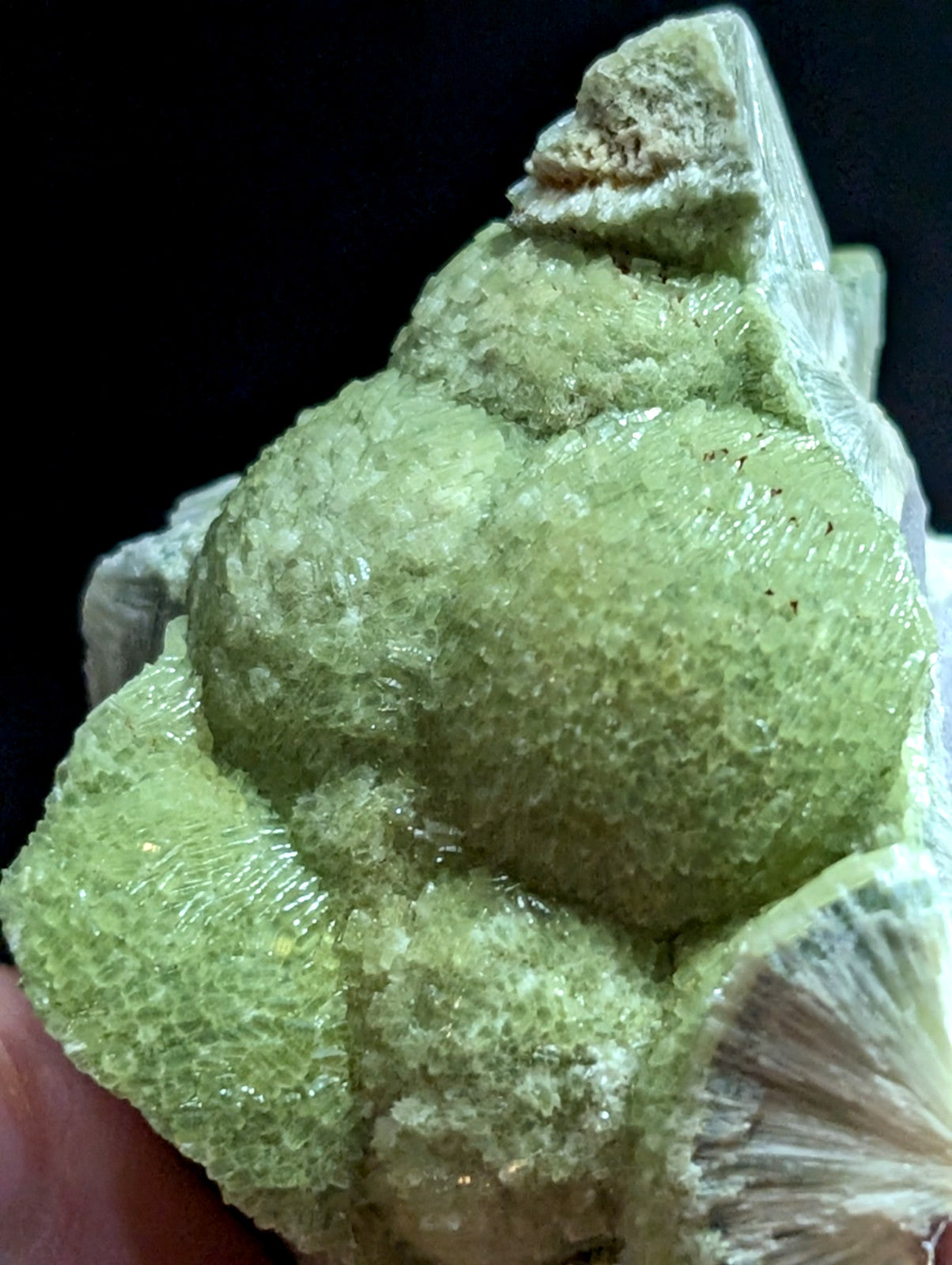 A textured, light green mineral specimen with a crystalline surface and layered formations.