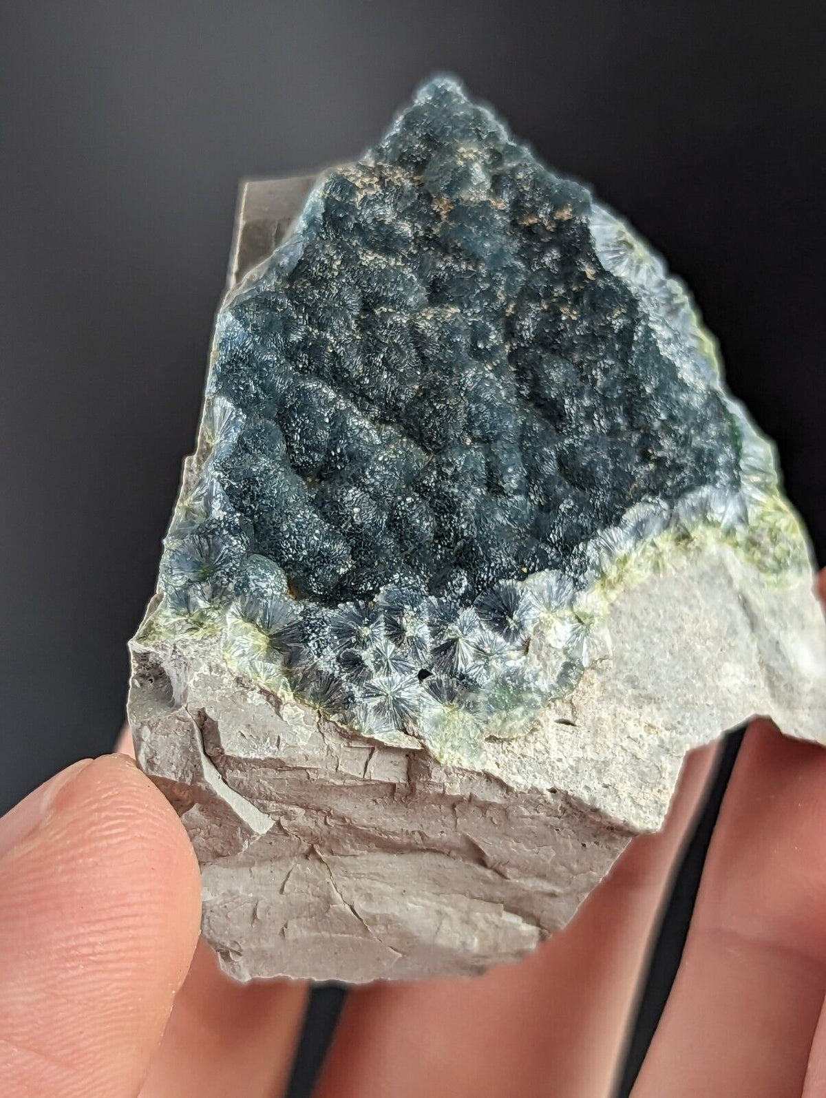 A + Wavellite - Old Stock - Delinde / Schmitt mine - Garland County Arkansas - Collectibles:Rocks Fossils &