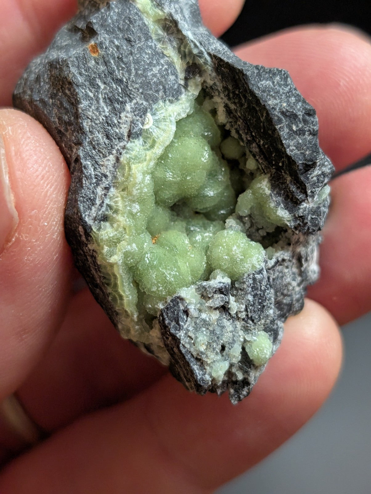 A hand holds a dark gray rock with vibrant green, clustered mineral formations inside.