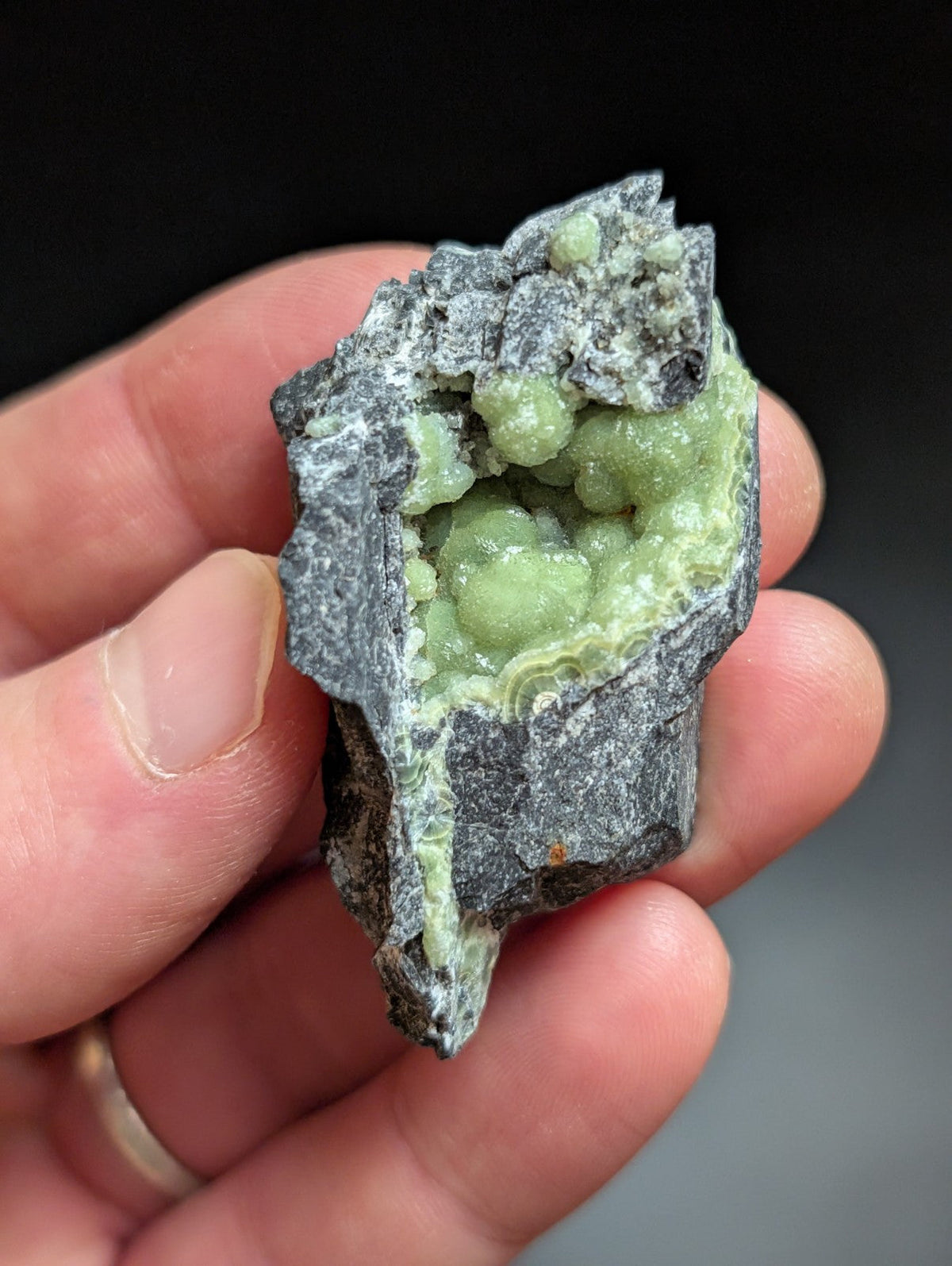 A hand holds a dark gray rock with vibrant green, rounded mineral formations inside.