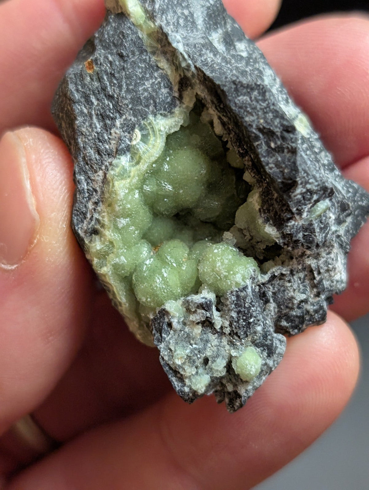 A hand holds a dark gray rock with a hollow interior filled with small, round, light green mineral crystals.