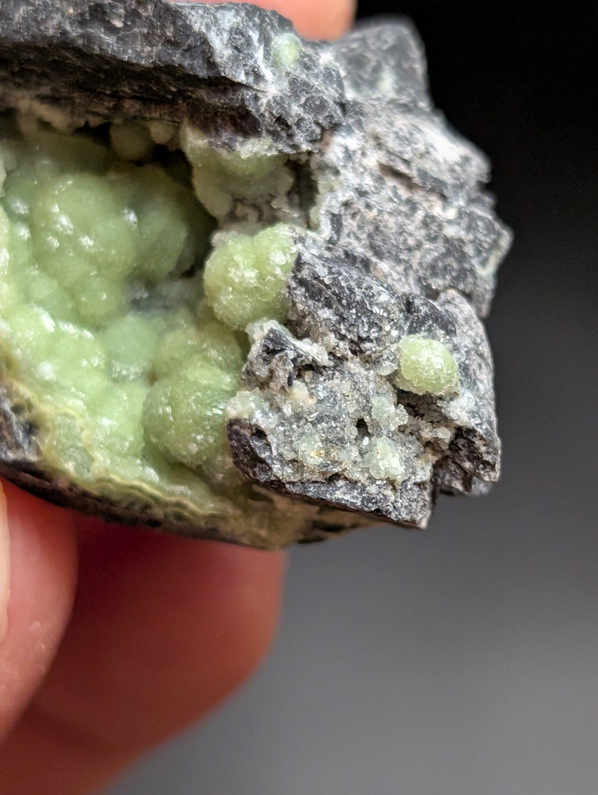 A hand holds a dark gray rock specimen featuring clusters of translucent, light green spherical crystals.