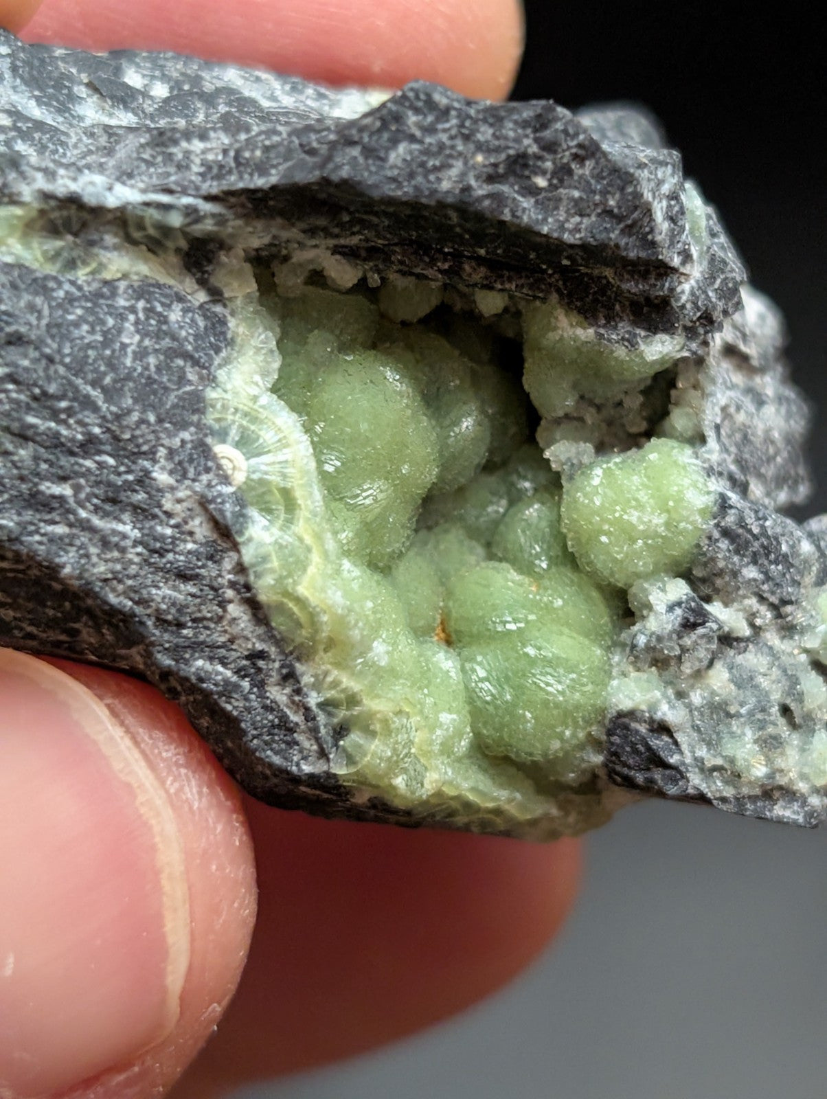 A hand holds a dark gray rock with vibrant green, spherical mineral formations inside.