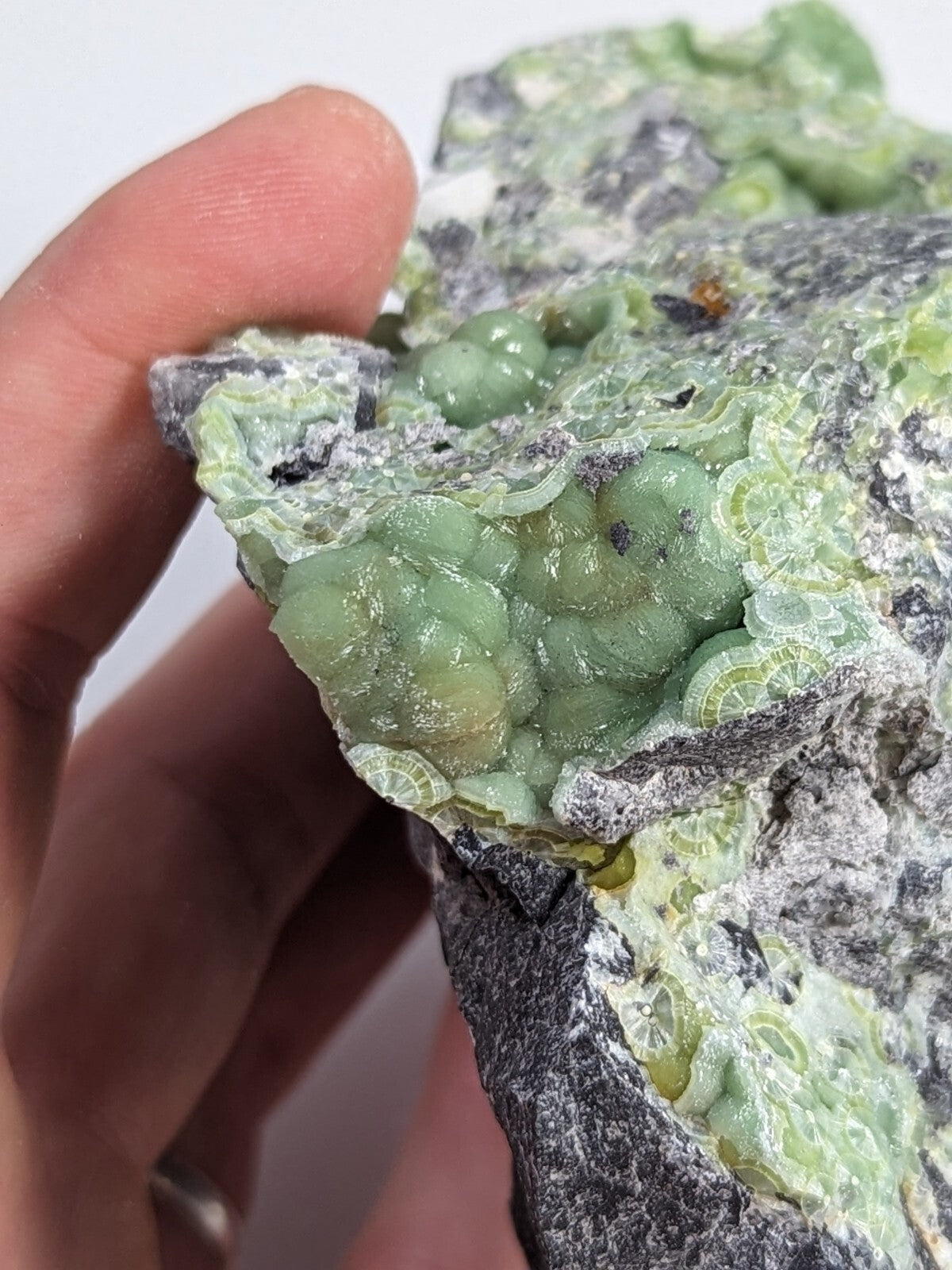 A hand holds a specimen of green, translucent, grape-like mineral formations embedded in a gray and white rocky matrix.