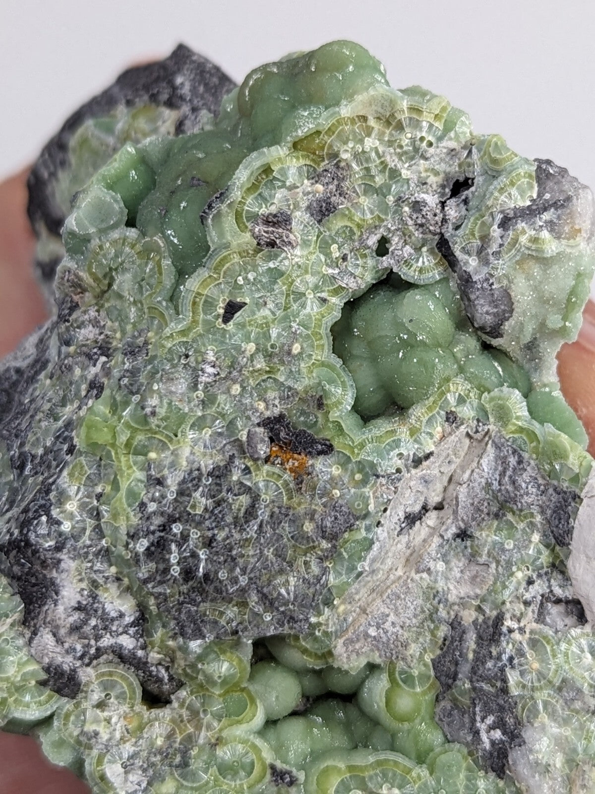 A vibrant green, translucent mineral specimen with intricate, lace-like patterns and embedded dark gray rock.