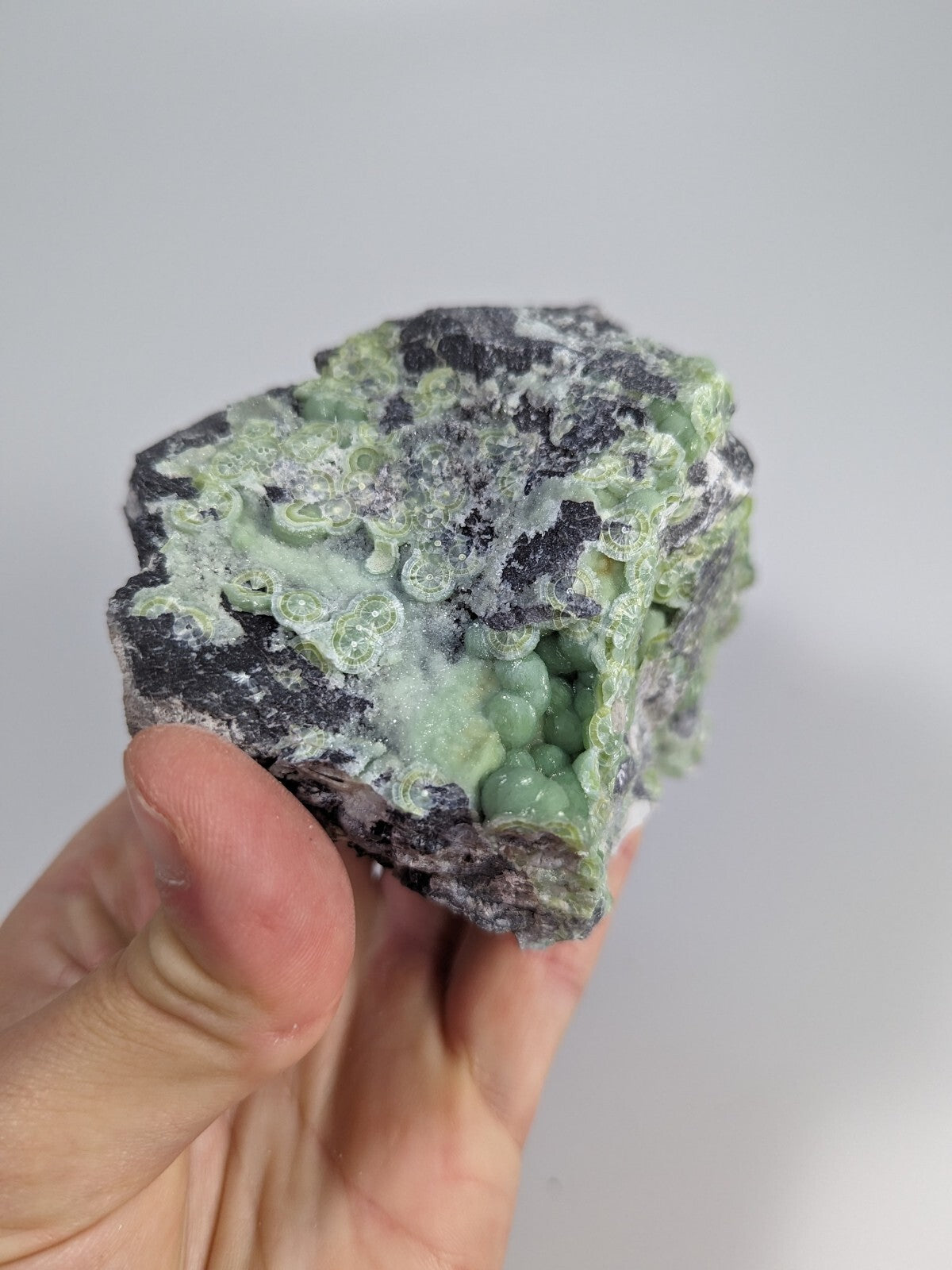 A hand holds a dark gray rock specimen featuring clusters of light green, bead-like crystals growing from its surface.