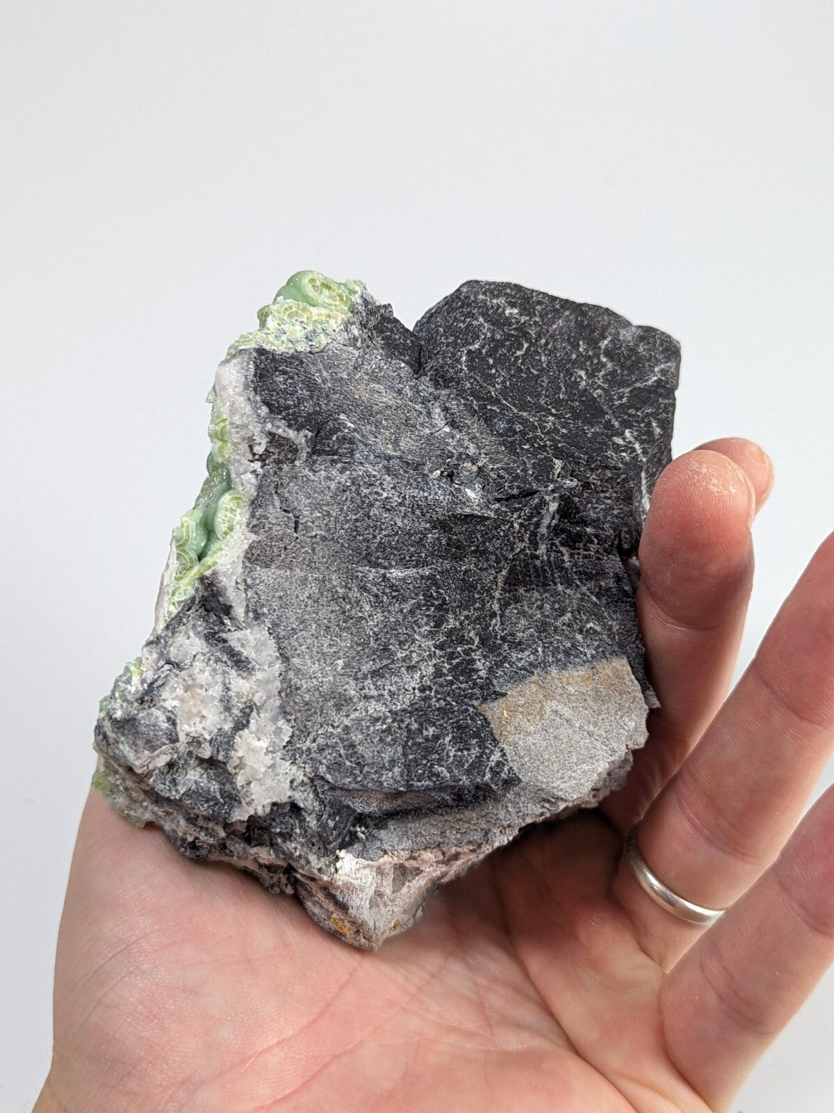 A hand holds a dark gray rock specimen with patches of green and white mineral formations.