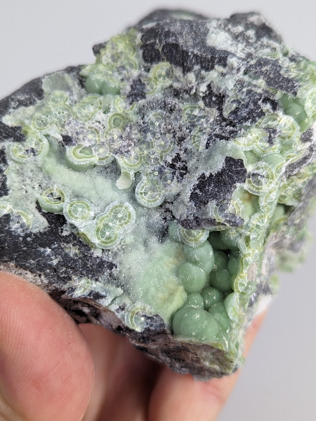A hand holds a striking green and black mineral specimen featuring intricate, bubble-like formations with translucent, pale-green crystals growing from a dark matrix.