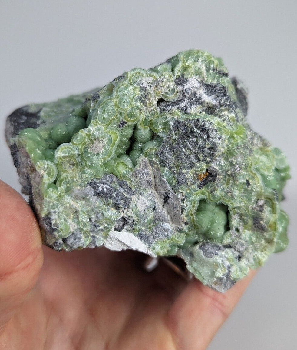 A hand holds a striking green and gray mineral specimen featuring clusters of translucent, bubble-like formations.