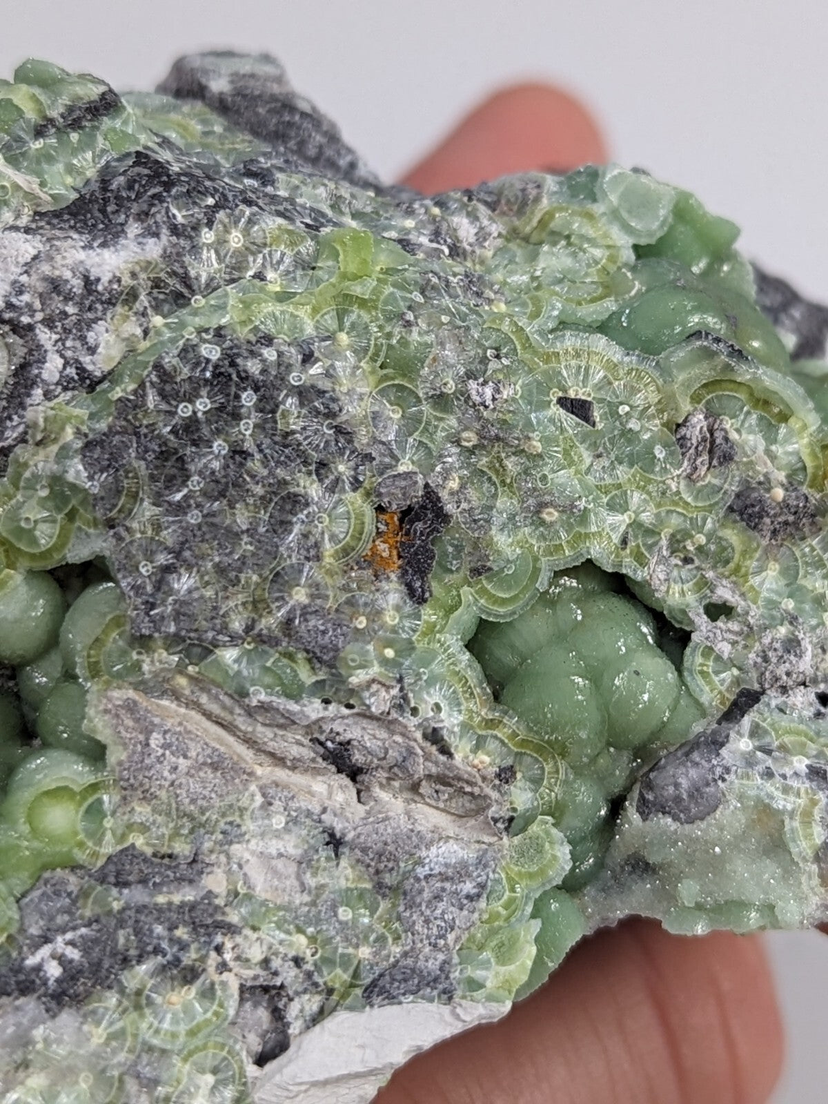 A green, translucent mineral specimen with intricate circular patterns and embedded dark gray rock.