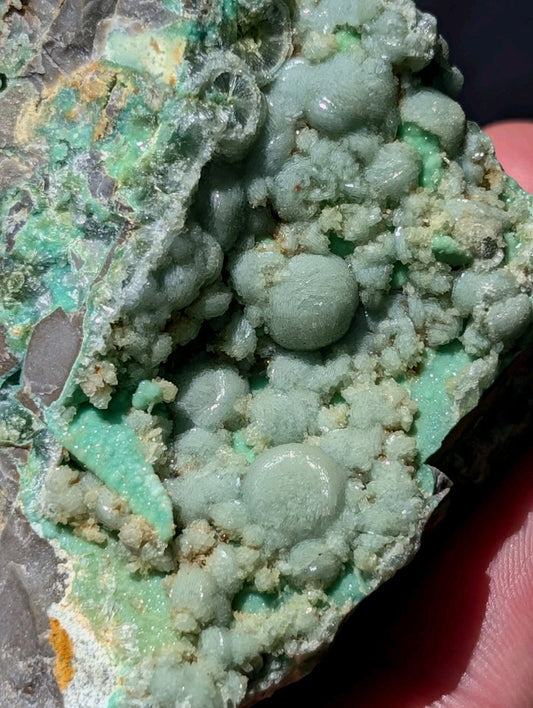 A cluster of light green, rounded mineral formations with a slightly rough and crystalline texture.