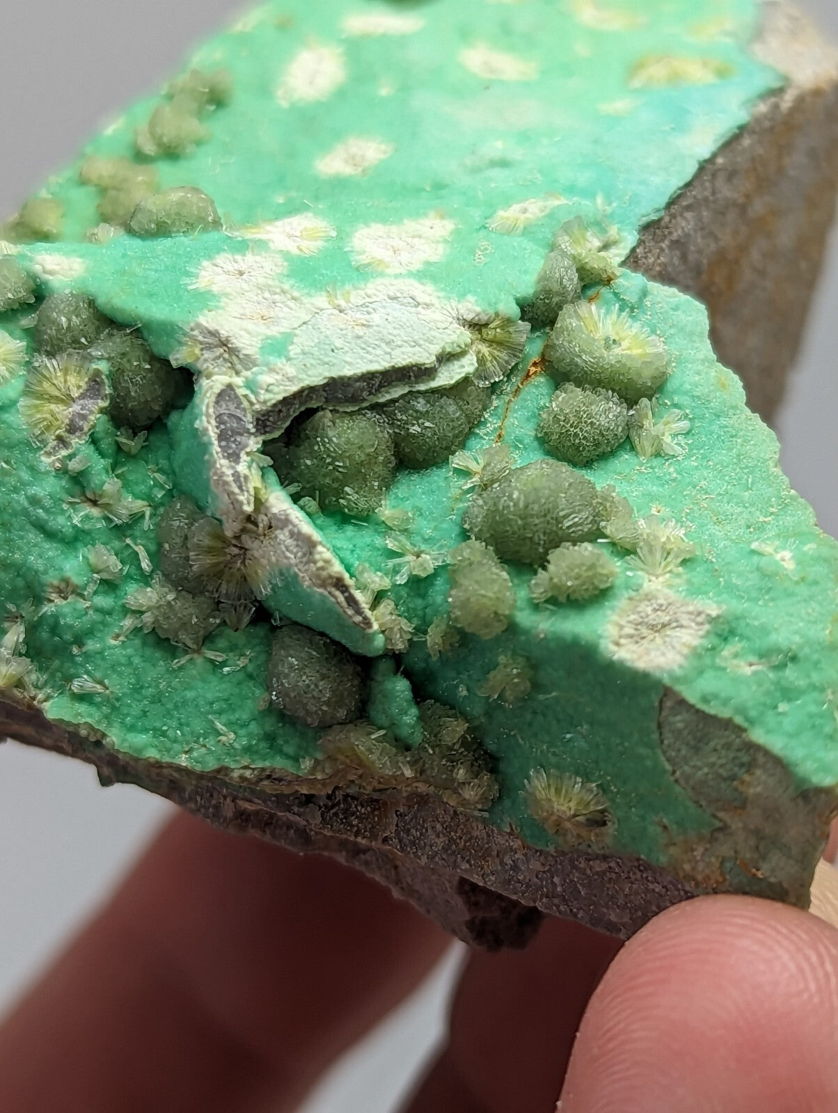 A vibrant green mineral specimen featuring a textured surface with clusters of small, rounded formations and patches of white crystalline growths.