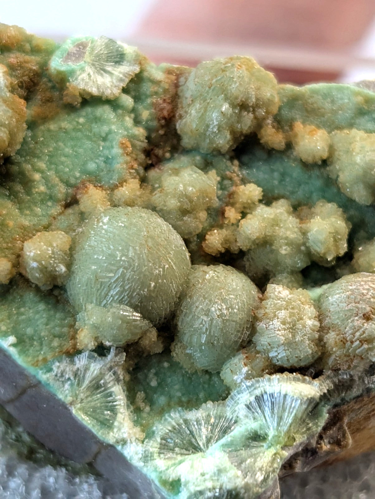 A green, crystalline mineral specimen featuring rounded, translucent formations with a textured surface and scattered golden-brown inclusions.