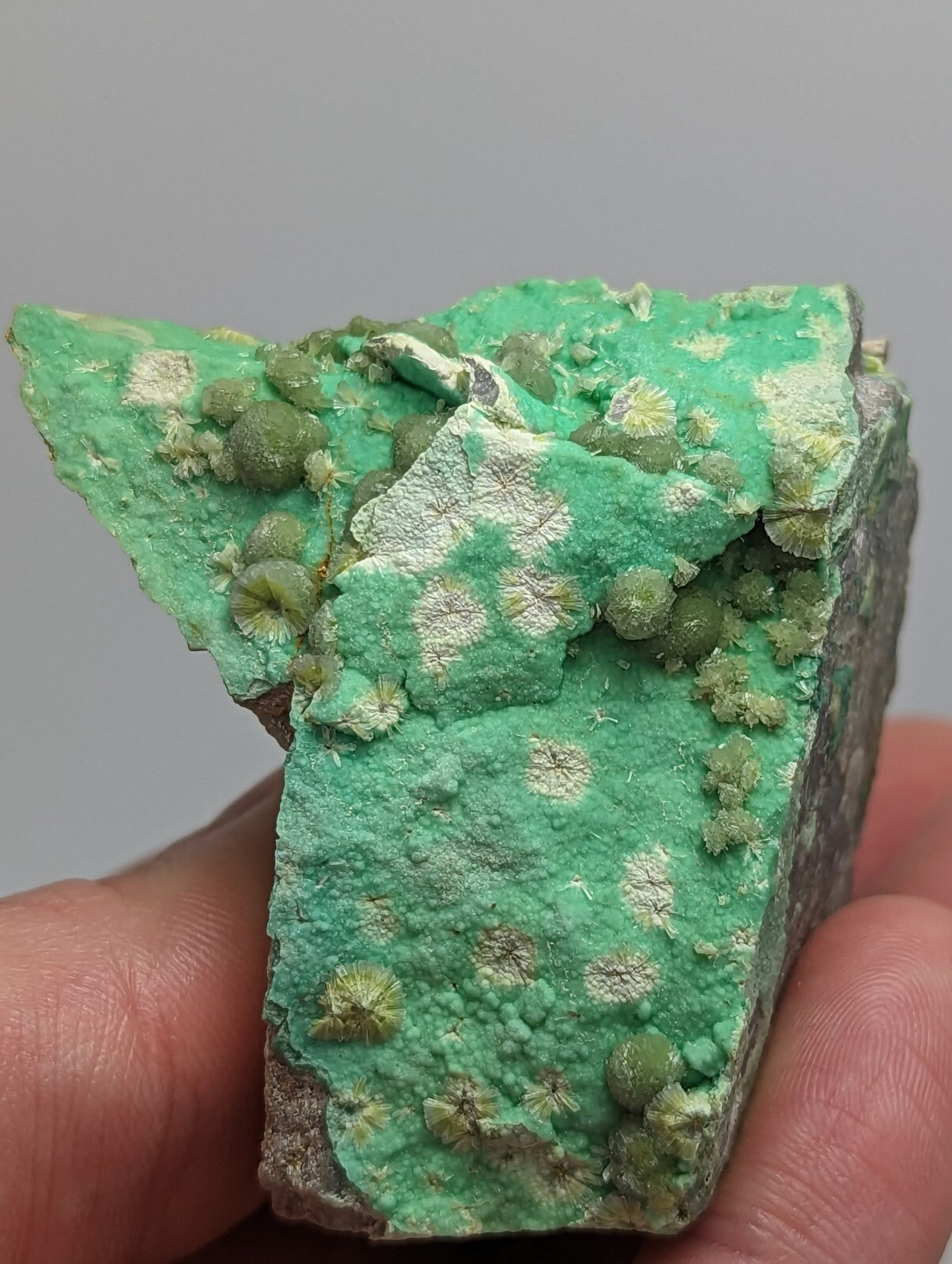 A vibrant green mineral specimen featuring a textured surface with clusters of small, rounded formations and lighter patches.