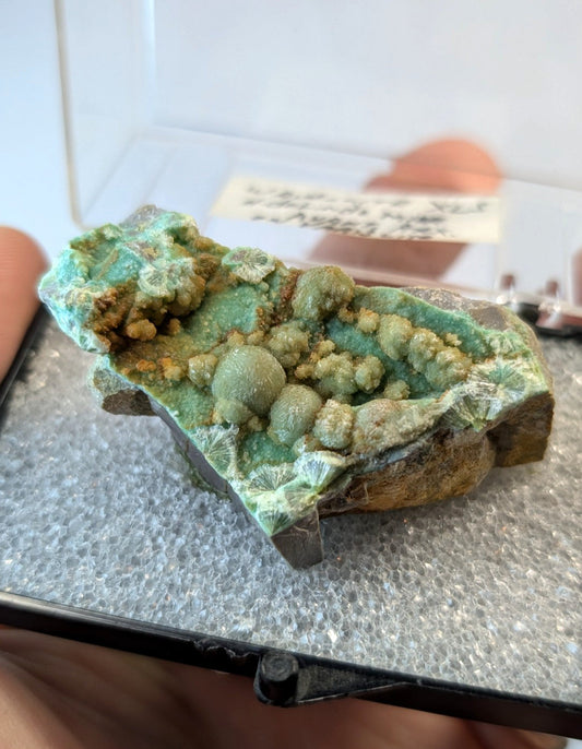 A vibrant green mineral specimen with rounded, bulbous formations and earthy brown matrix.