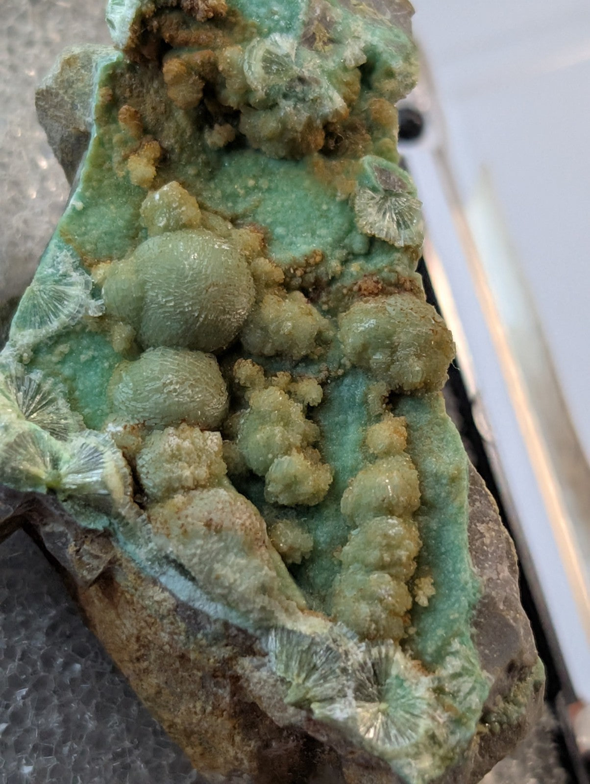 A vibrant green mineral specimen featuring rounded, bulbous formations and delicate fan-like crystalline structures.