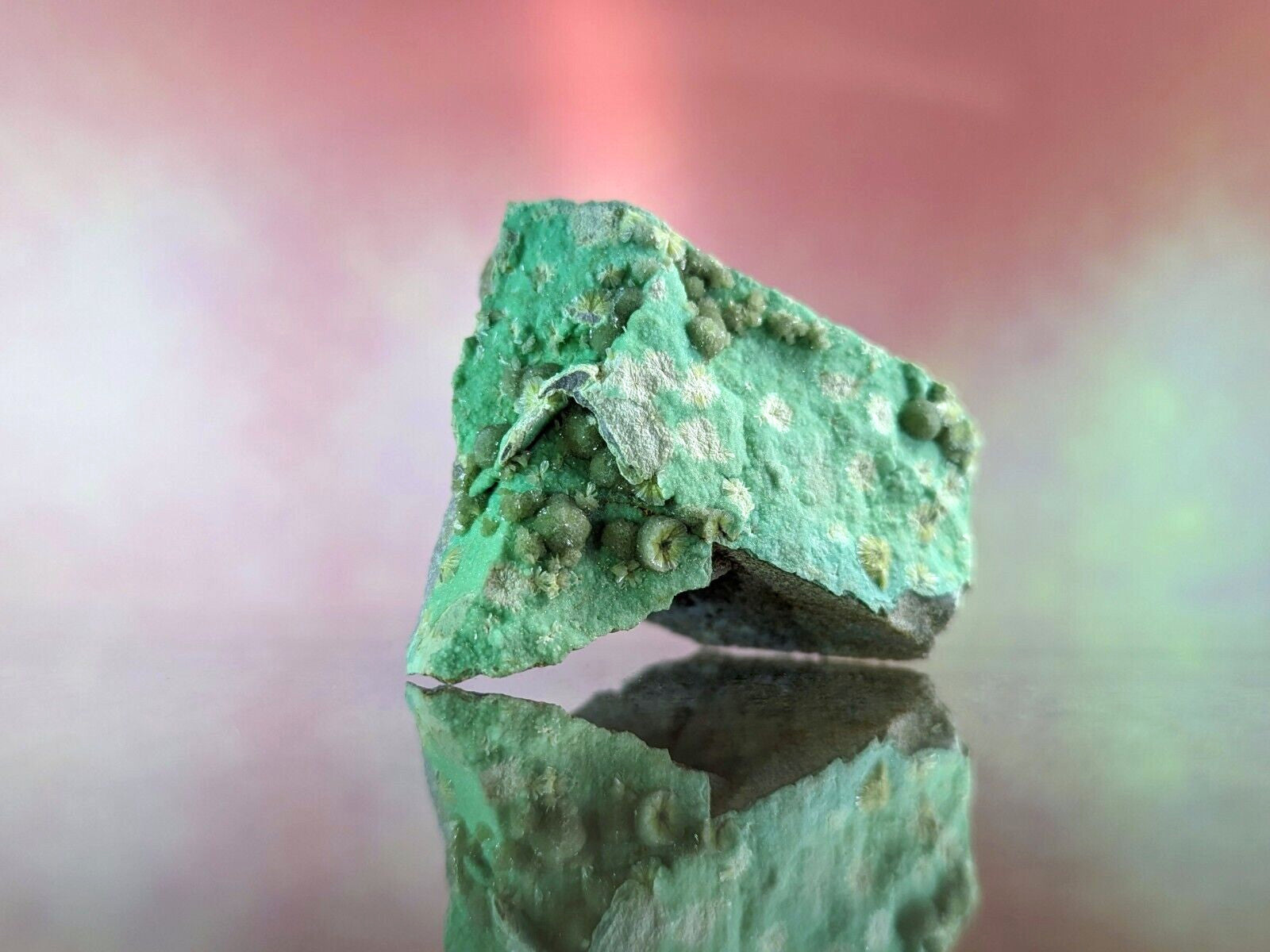 A rough, irregularly shaped green mineral specimen with a textured surface and small rounded nodules.