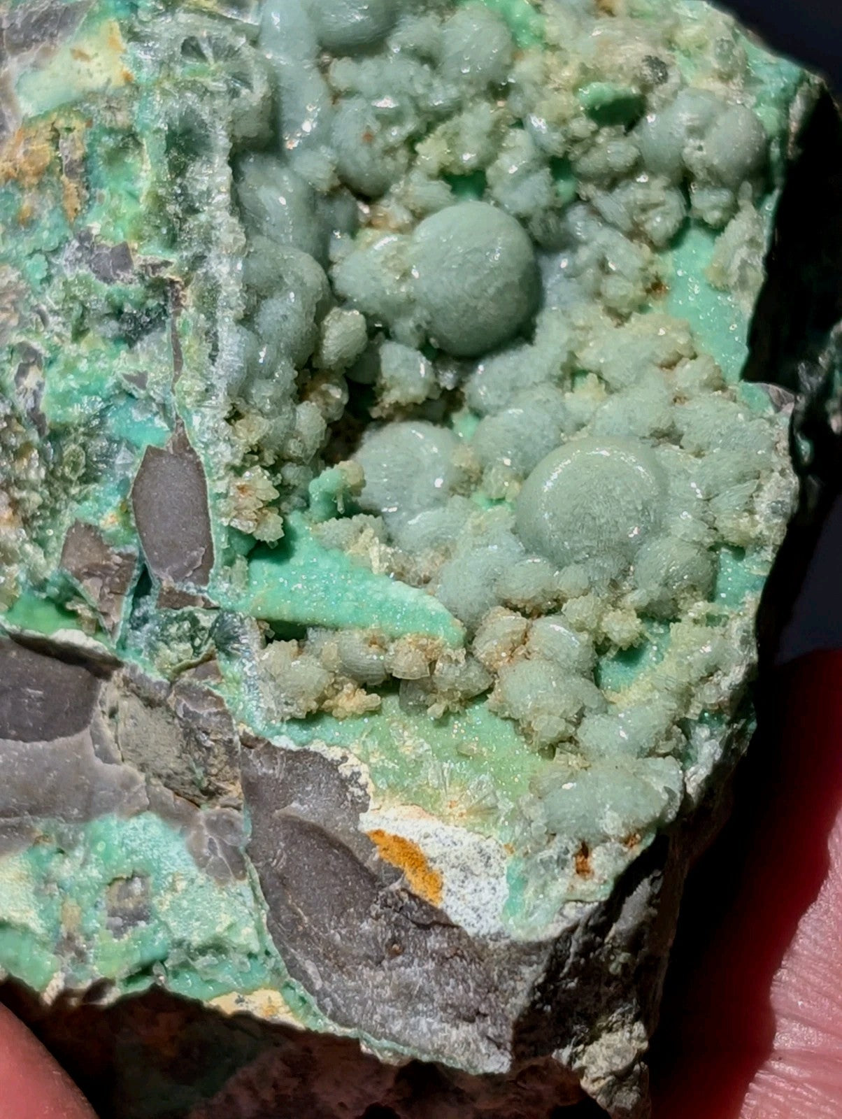 A vibrant green mineral specimen featuring rounded, bulbous formations clustered on a rough-textured matrix with patches of gray and orange.