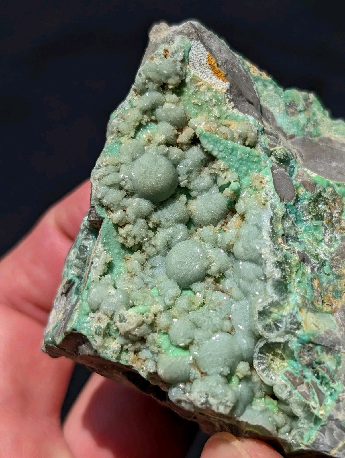 A hand holds a rough, irregularly shaped mineral specimen featuring clusters of pale green to mint-colored spherical crystals growing from a darker gray matrix.