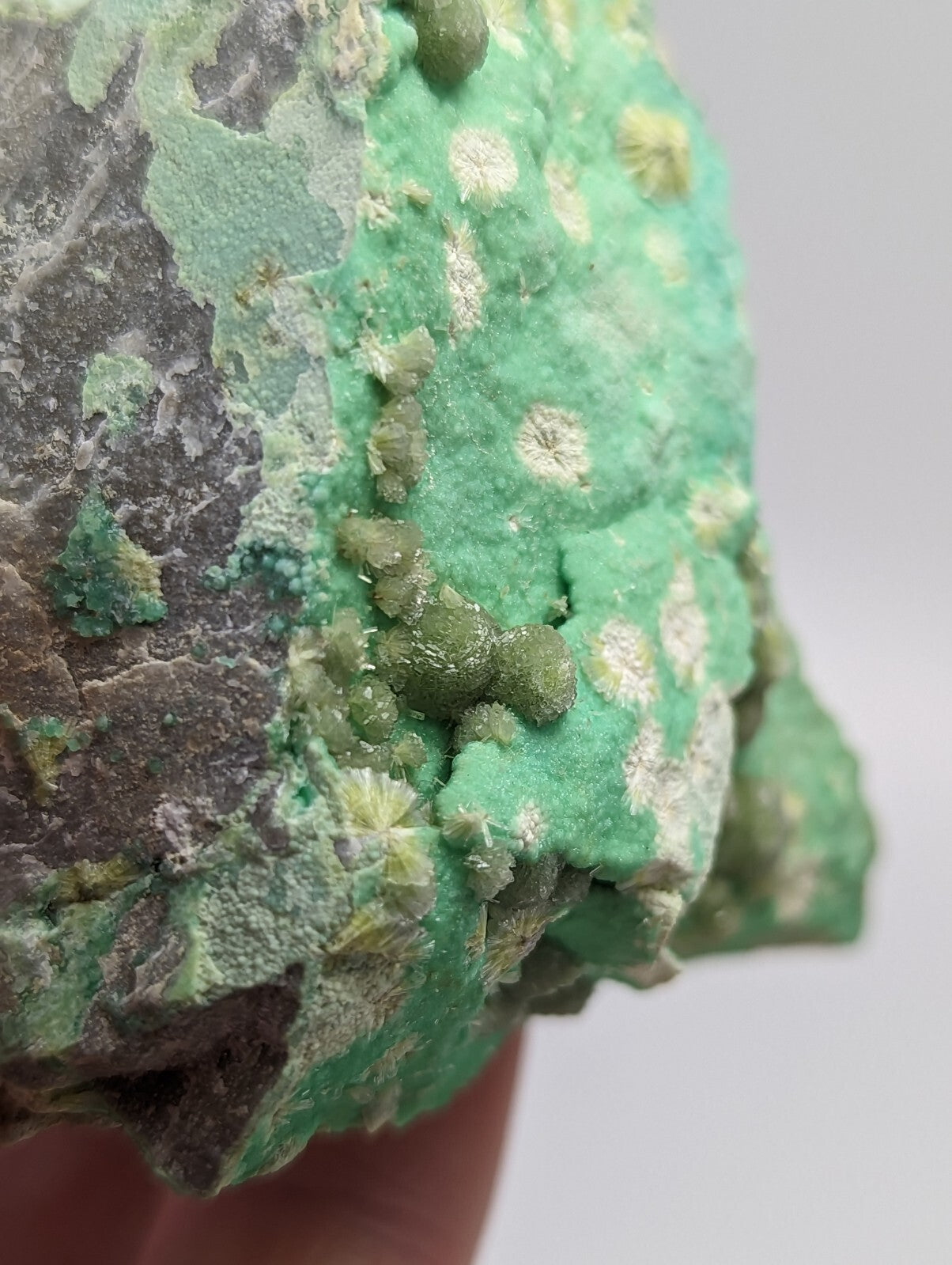 A vibrant green mineral specimen with a rough, textured surface and small rounded growths.