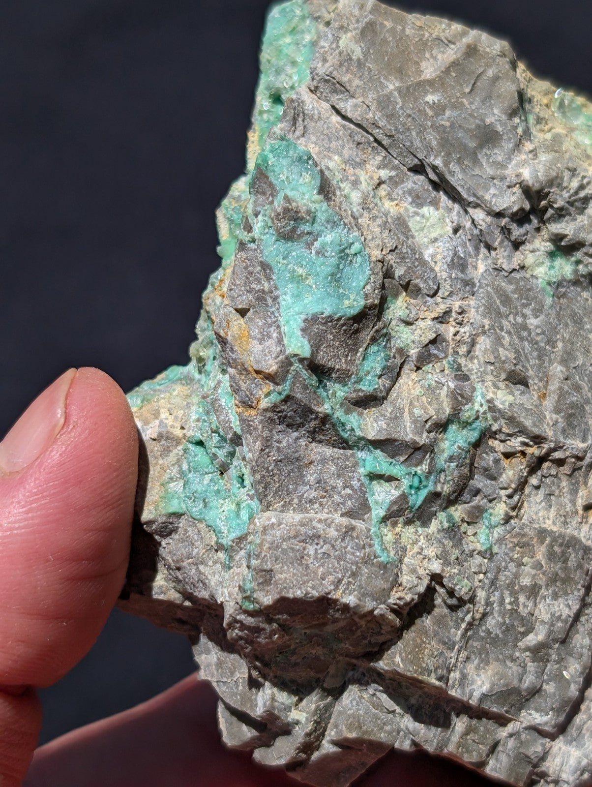 A rugged, gray rock specimen with vibrant turquoise mineral veins running across its uneven surface.