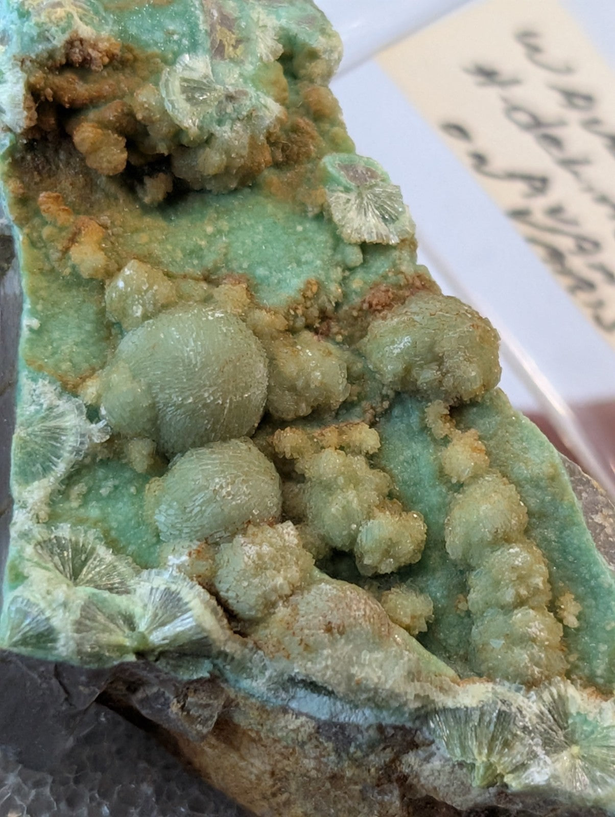 A vibrant green mineral specimen featuring rounded, clustered crystals with a textured surface and earthy brown accents.