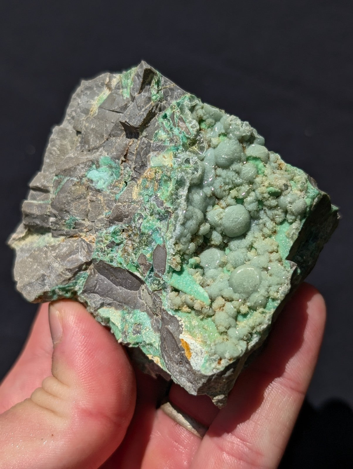 A hand holds a rough, irregularly shaped piece of green and gray mineral rock with rounded nodules.
